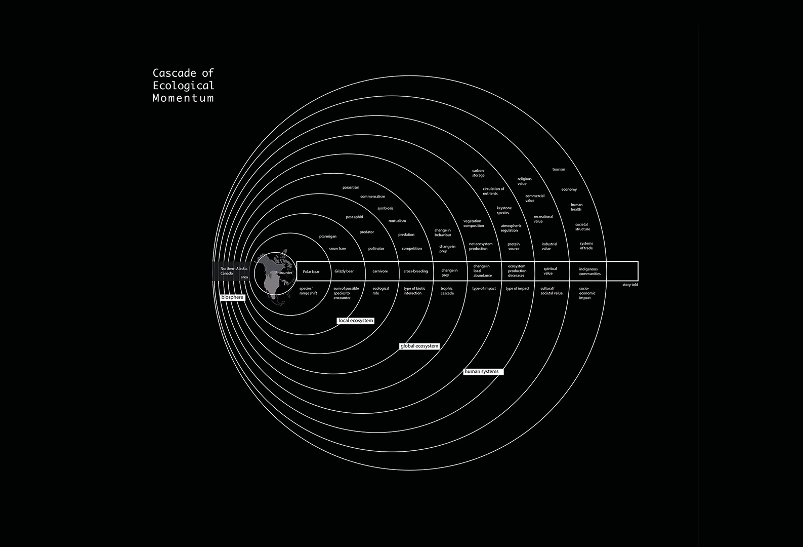 Cascade of Ecological Momentum