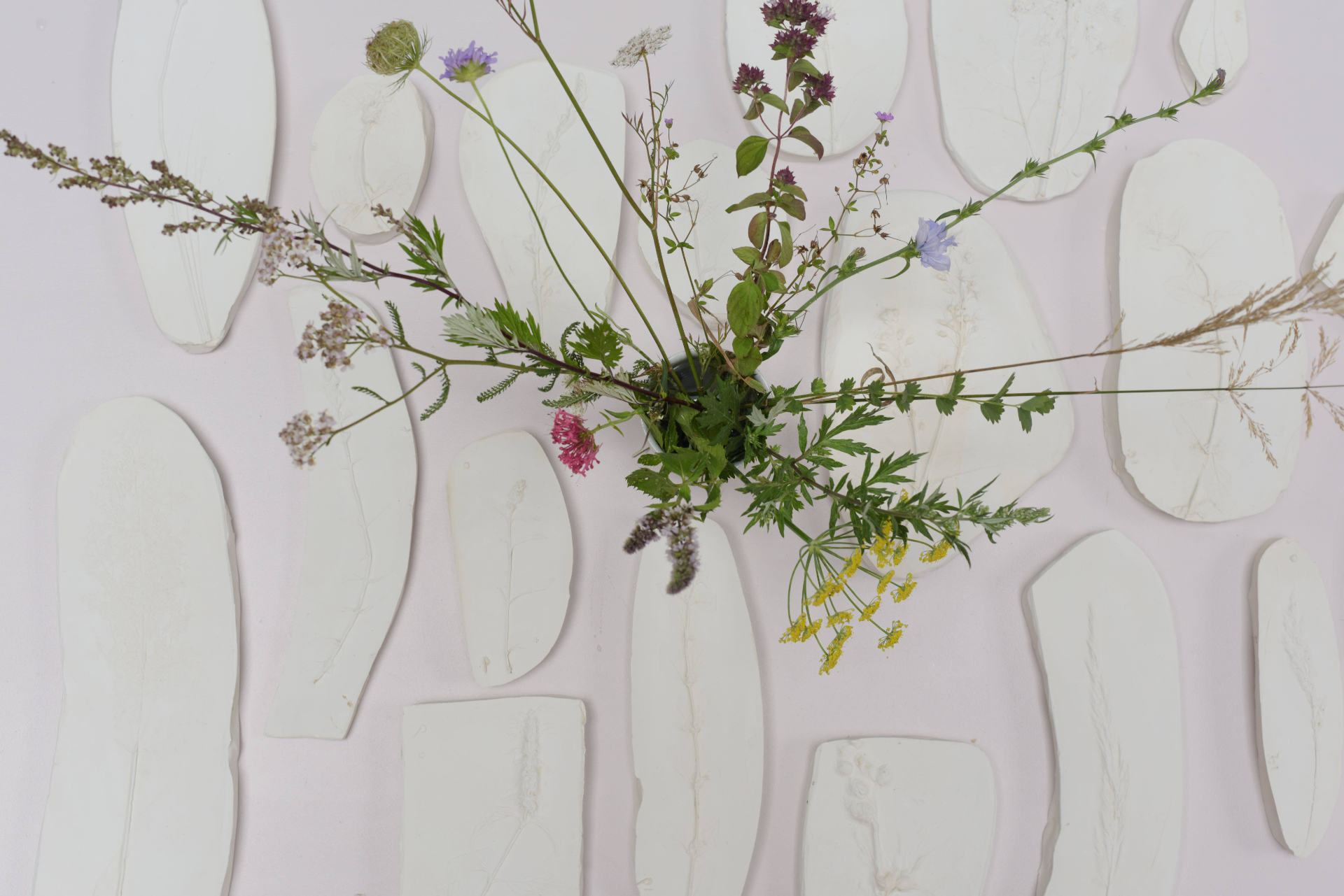 Flora Aeterna - flowers and prints