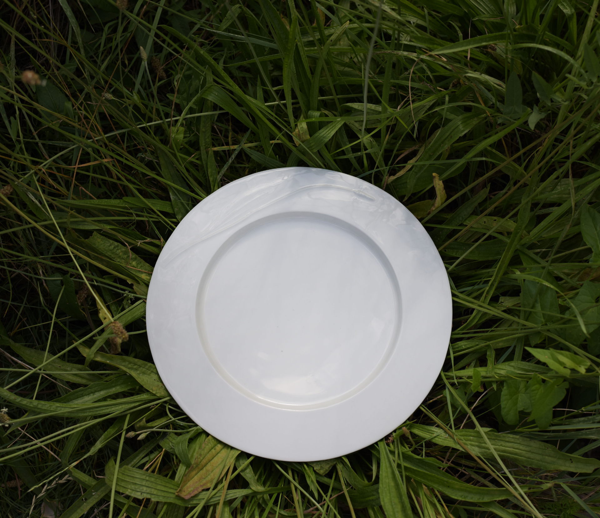 Flora Aeterna - Dinnerplate