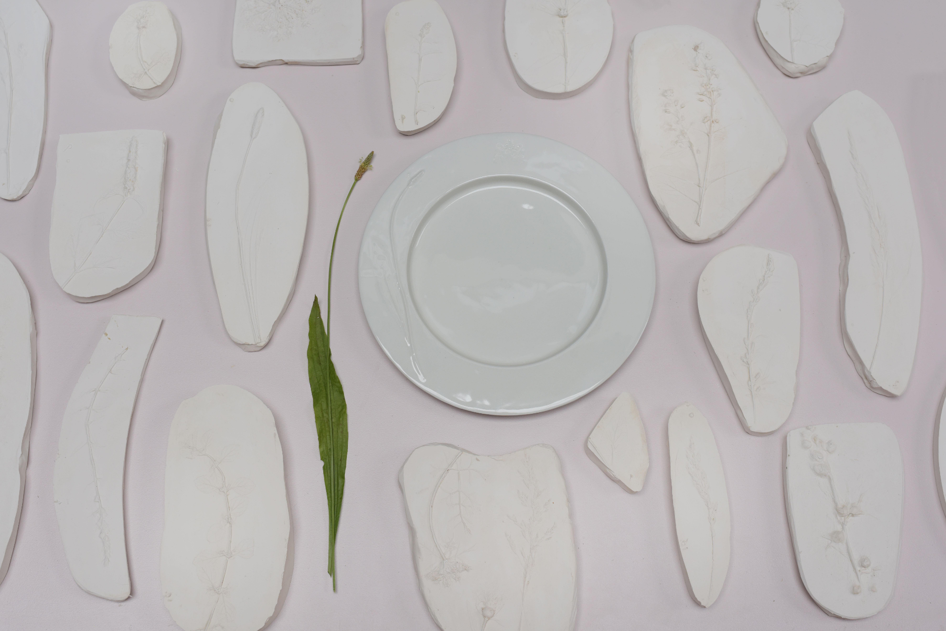 Flora Aeterna - prints and plate