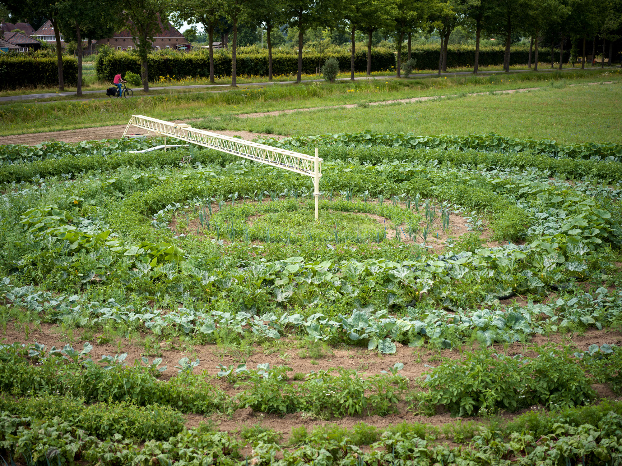 Circle Farming