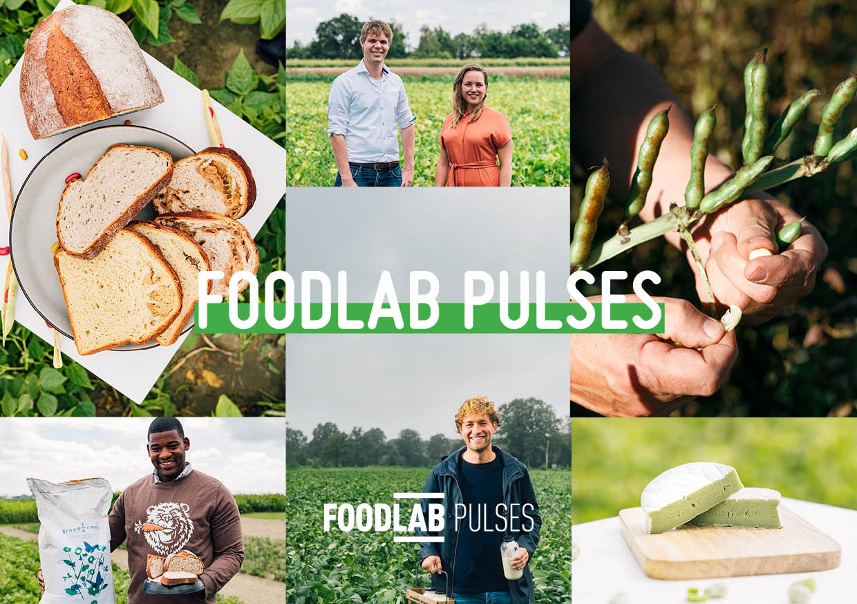 FoodLab Pulses