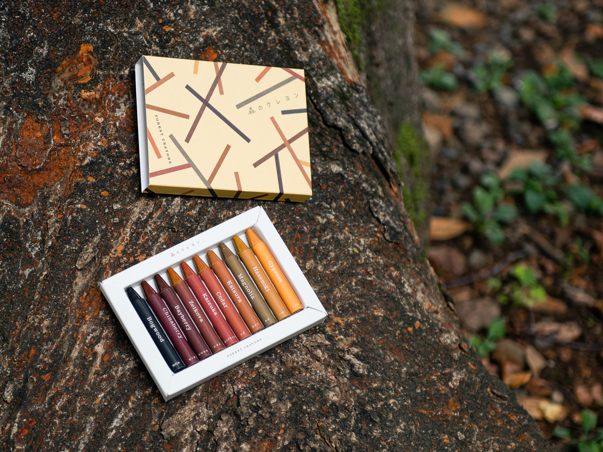 Forest Crayons
