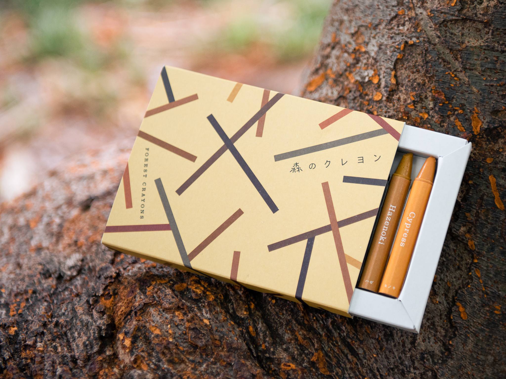 Forest Crayons