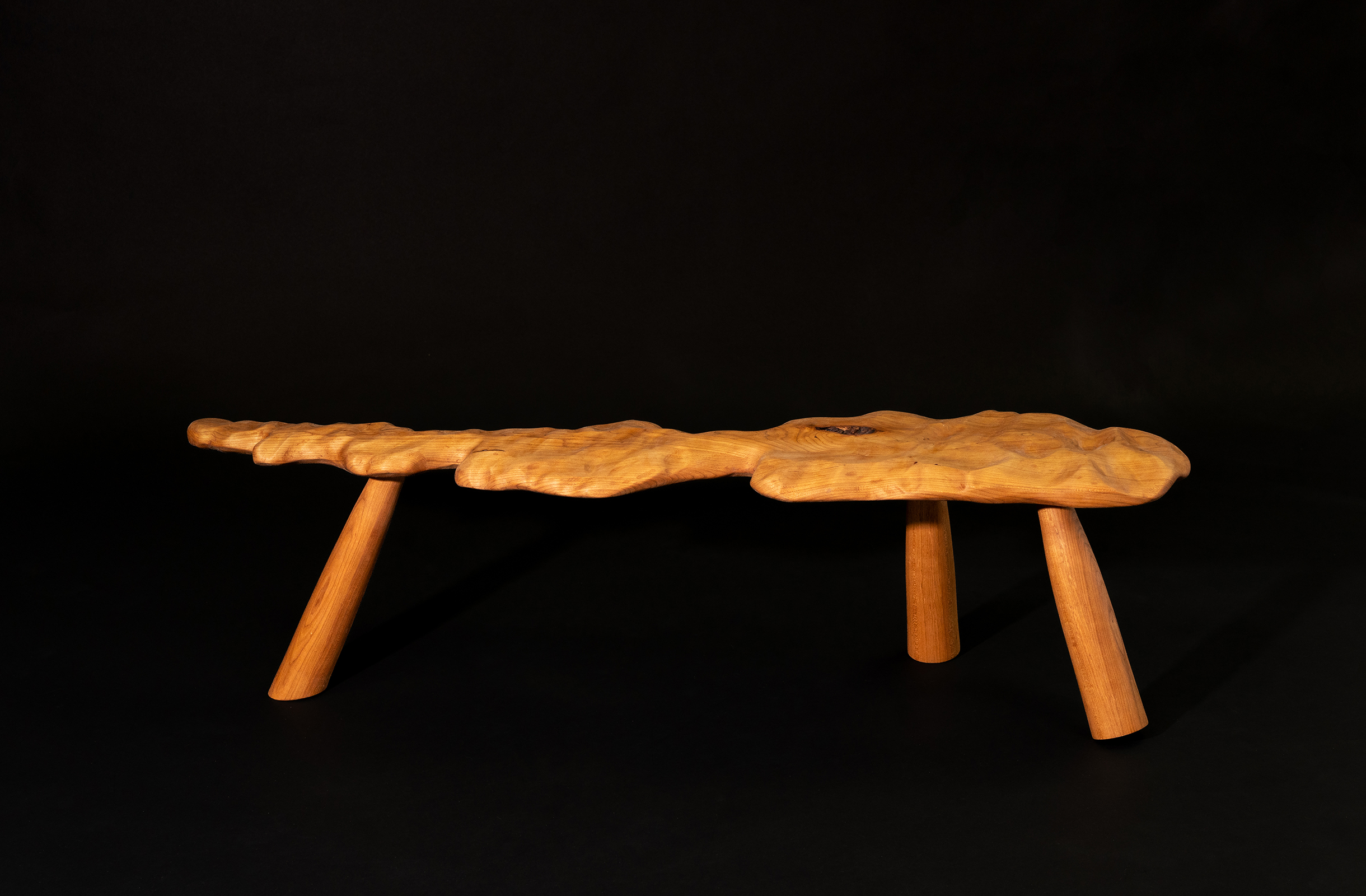 Forest, Ocean, Drift in the Cloud