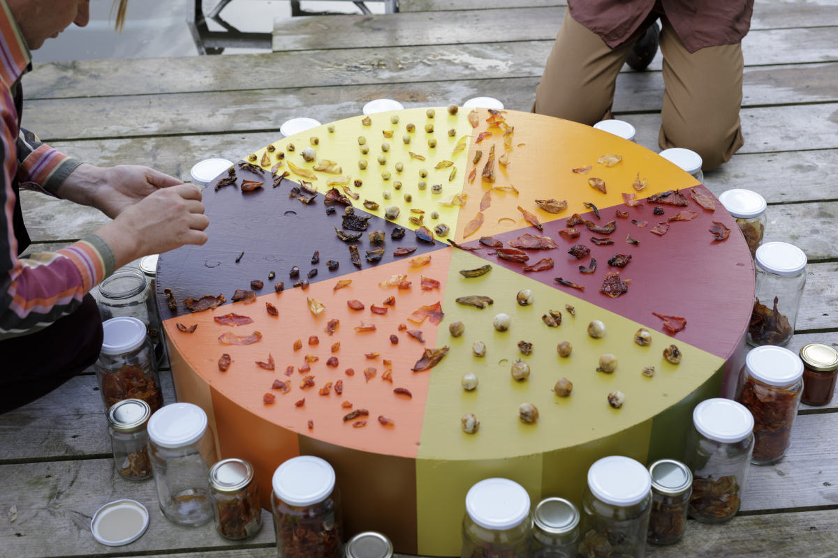 Forever Summer Color Wheel