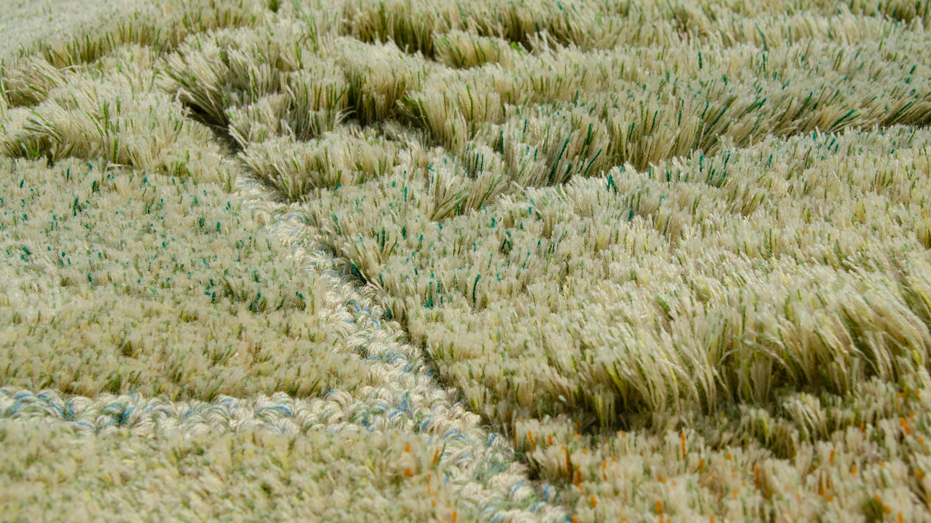Detail Dryland