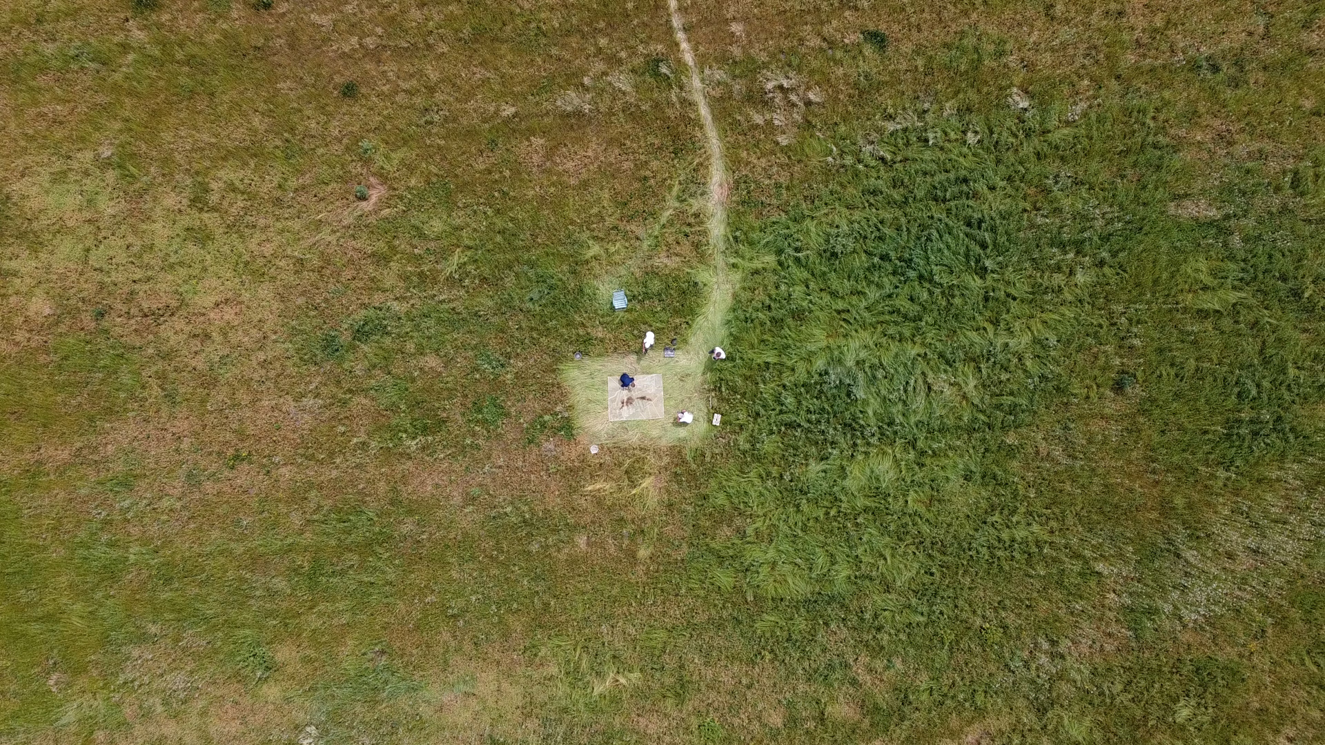 Dryland from above