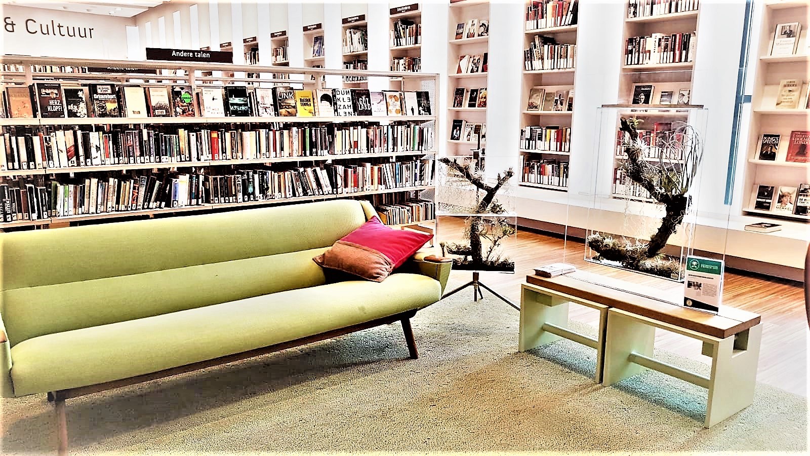 Leeshoek in de bibliotheek Rozet te Arnhem