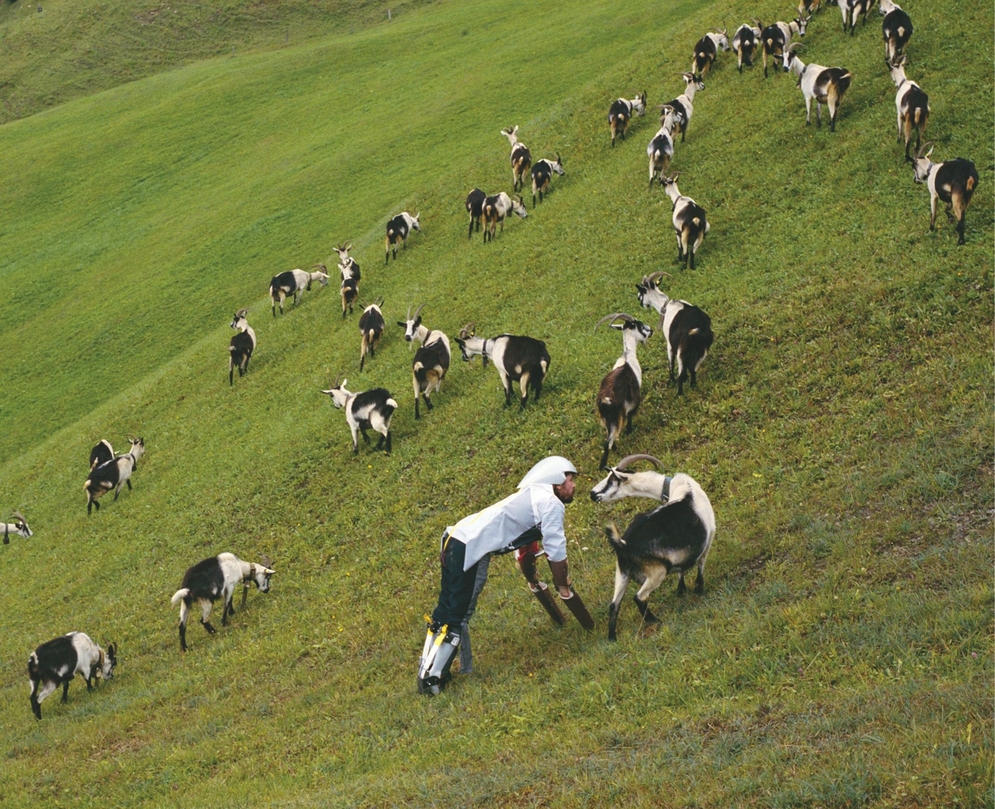 Goatman - Thomas Thwaites