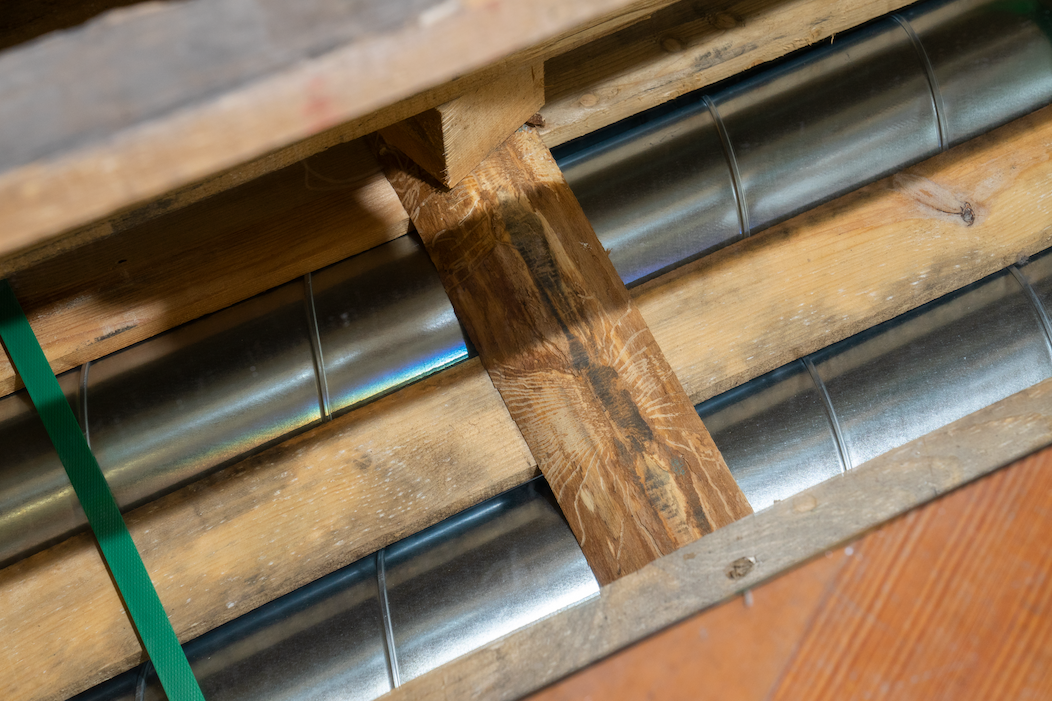 Beetle traces on wooden pallet
