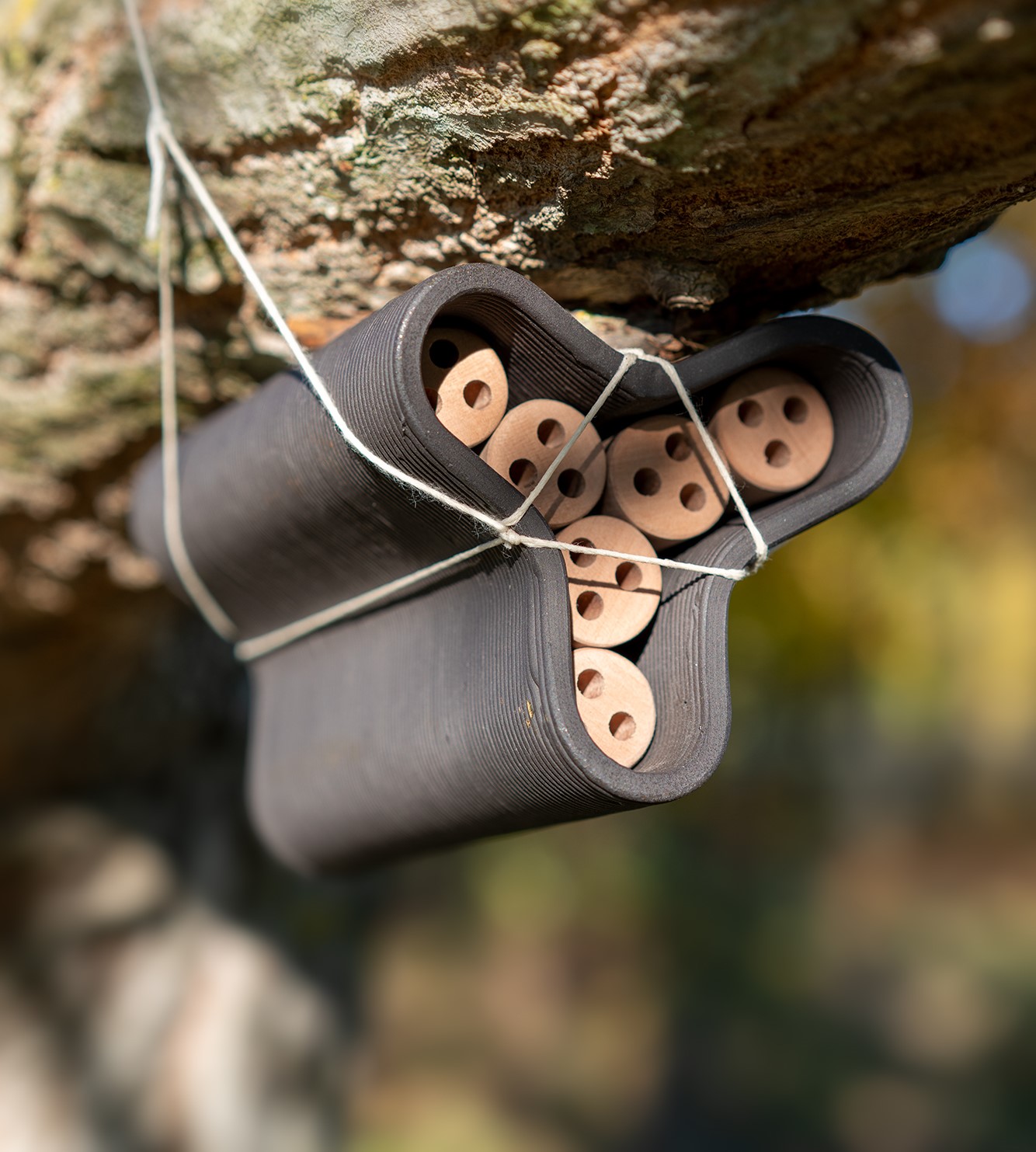 "HABITON" mounted to a tree