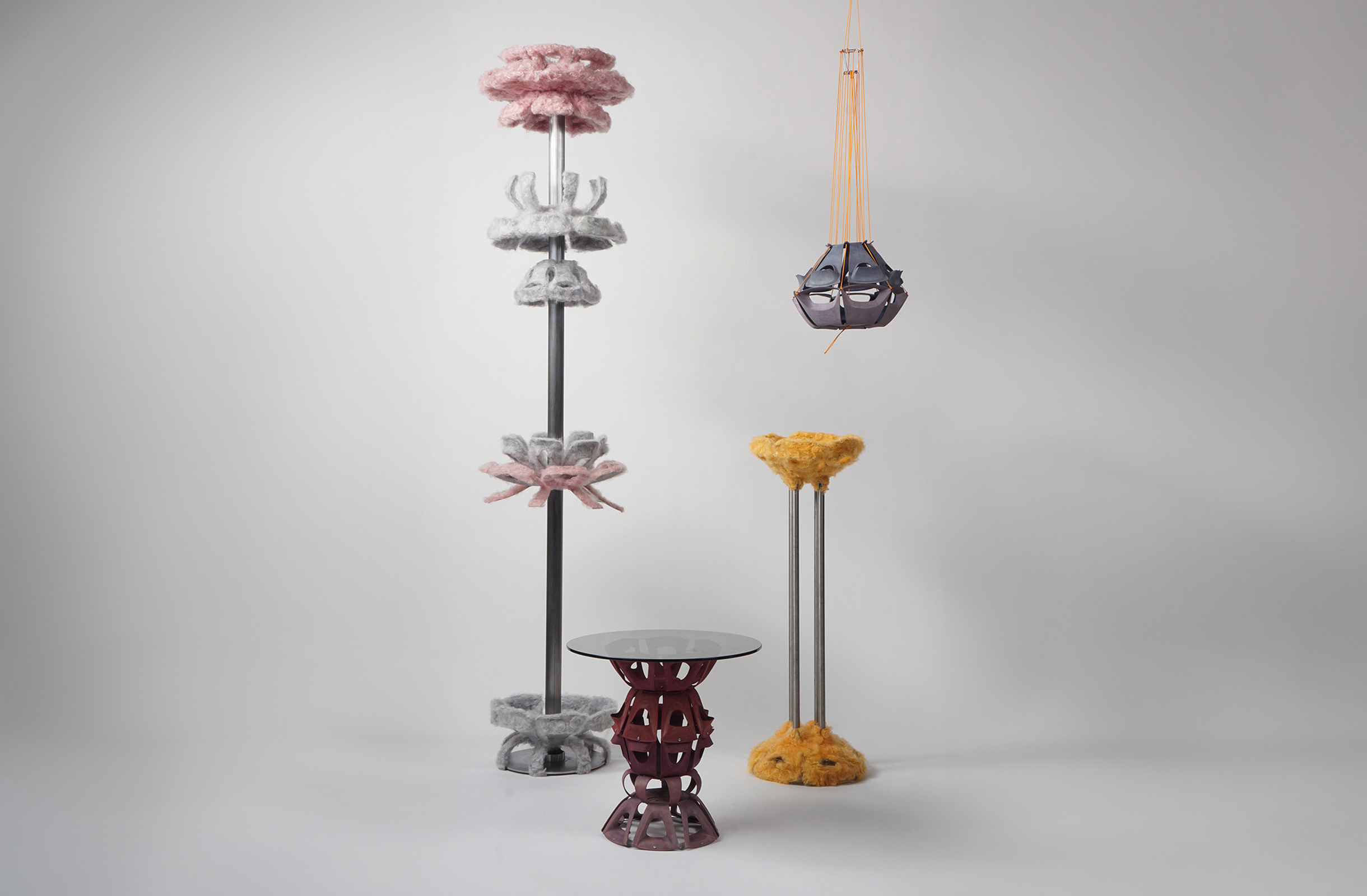 Object ensemble