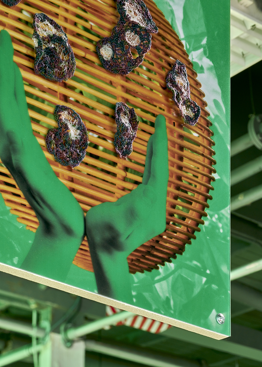 Hotel Symbiogenesis