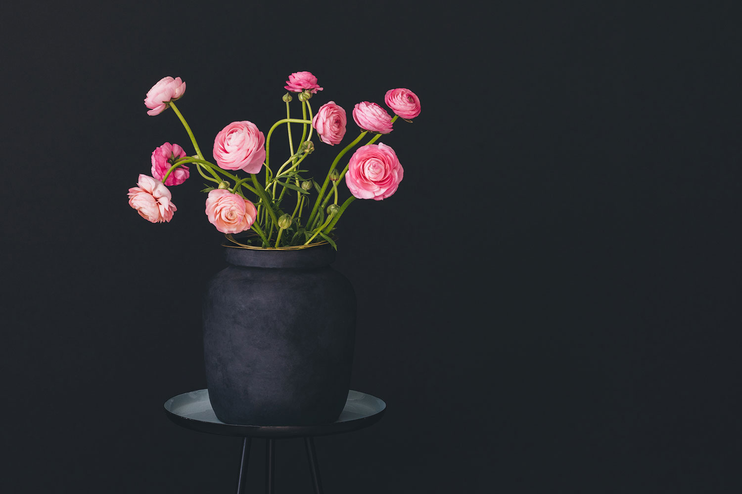 Flower Constellations - flower saving disks