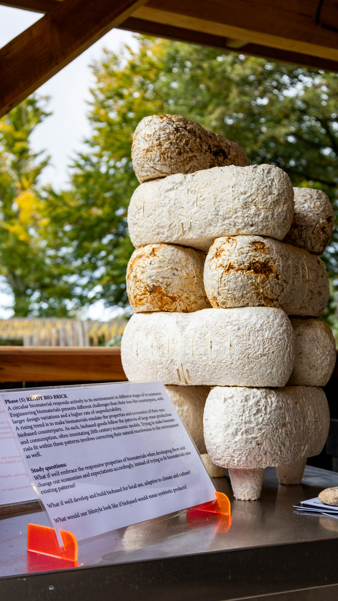 stacked up bio-bricks during the building process