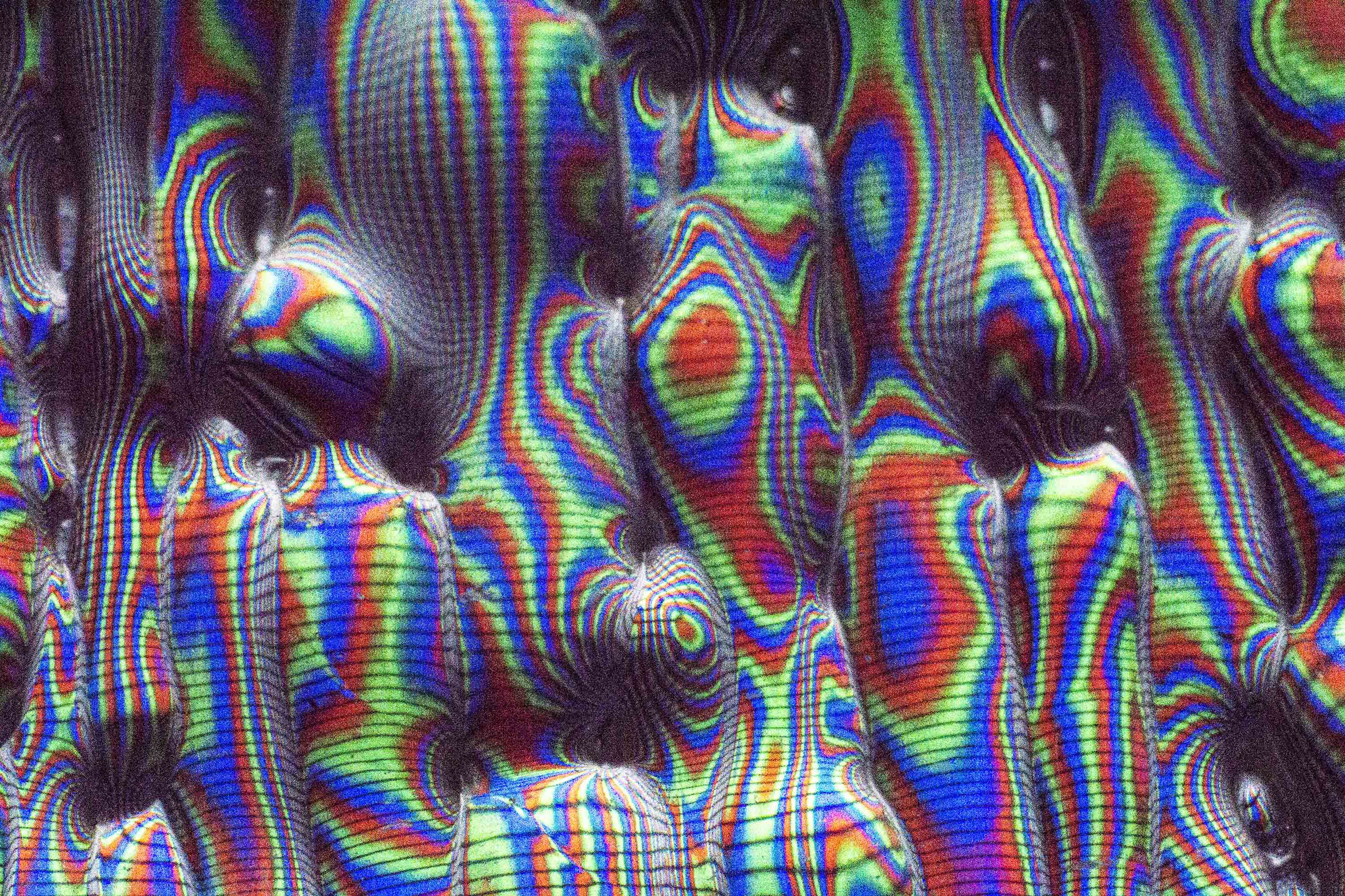 RGB Phantasy