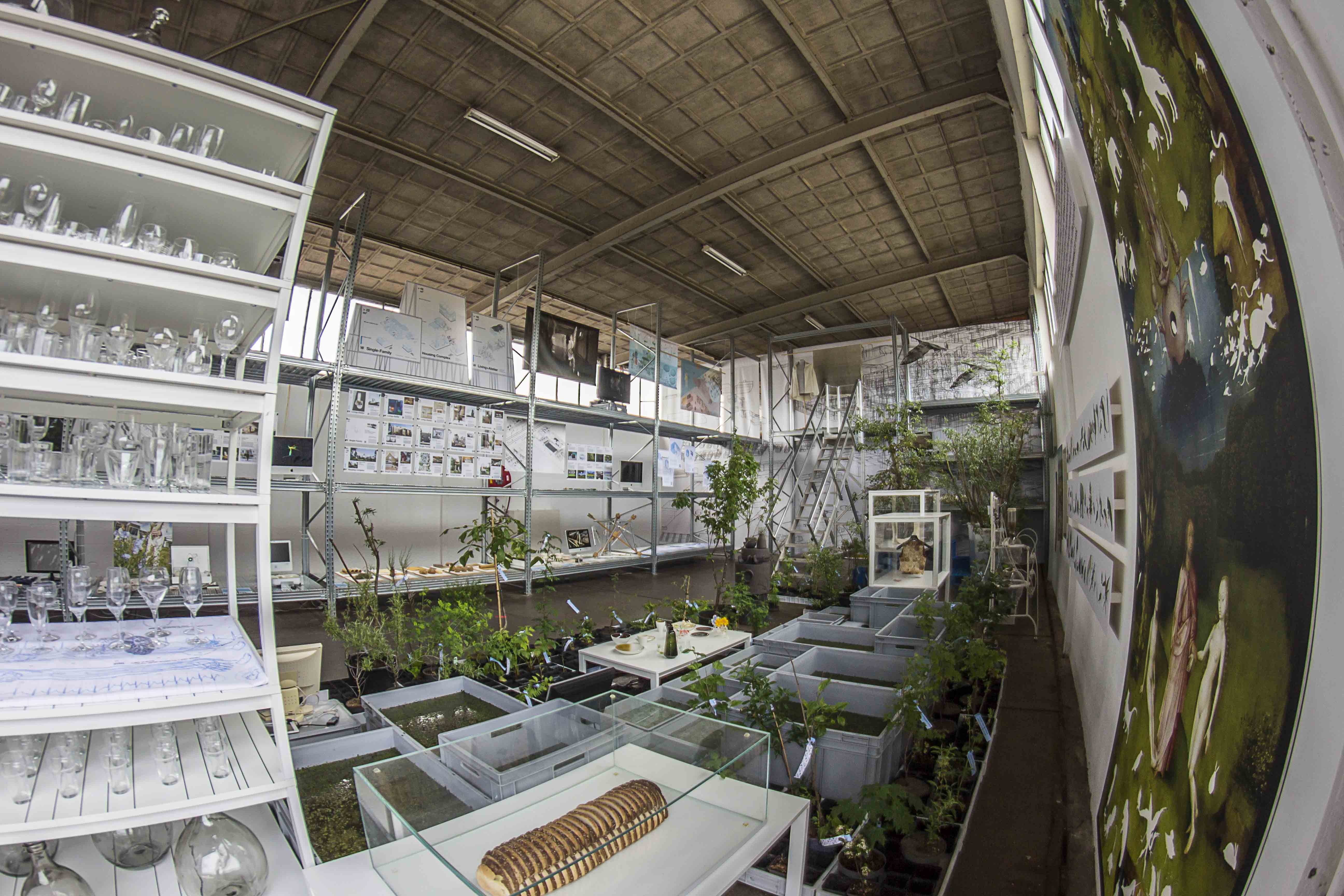 IABR—DOWN TO EARTH: WATERSCHOOL M4H+
