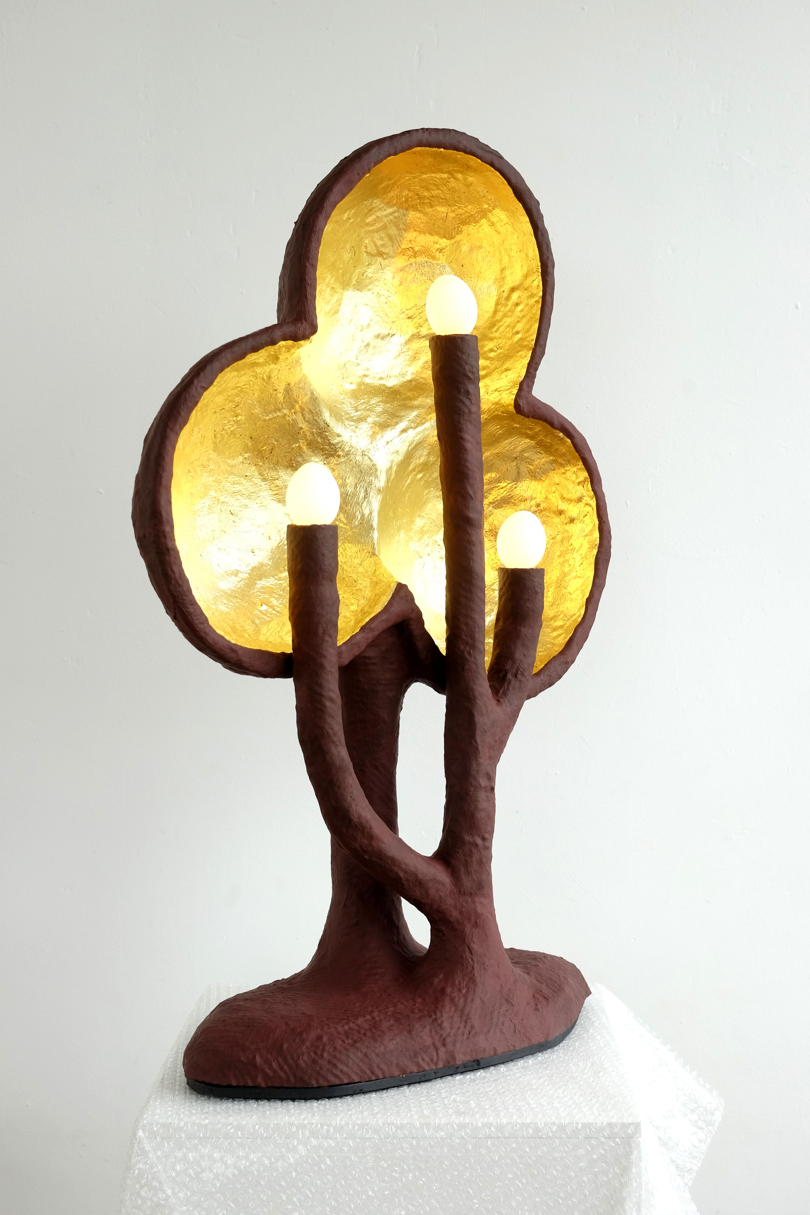 IC-16 Egglamp axo