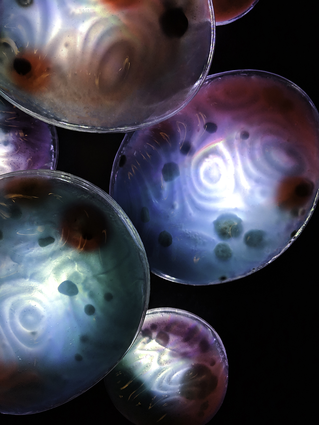 Closeup of CELLUL-AIR cluster.