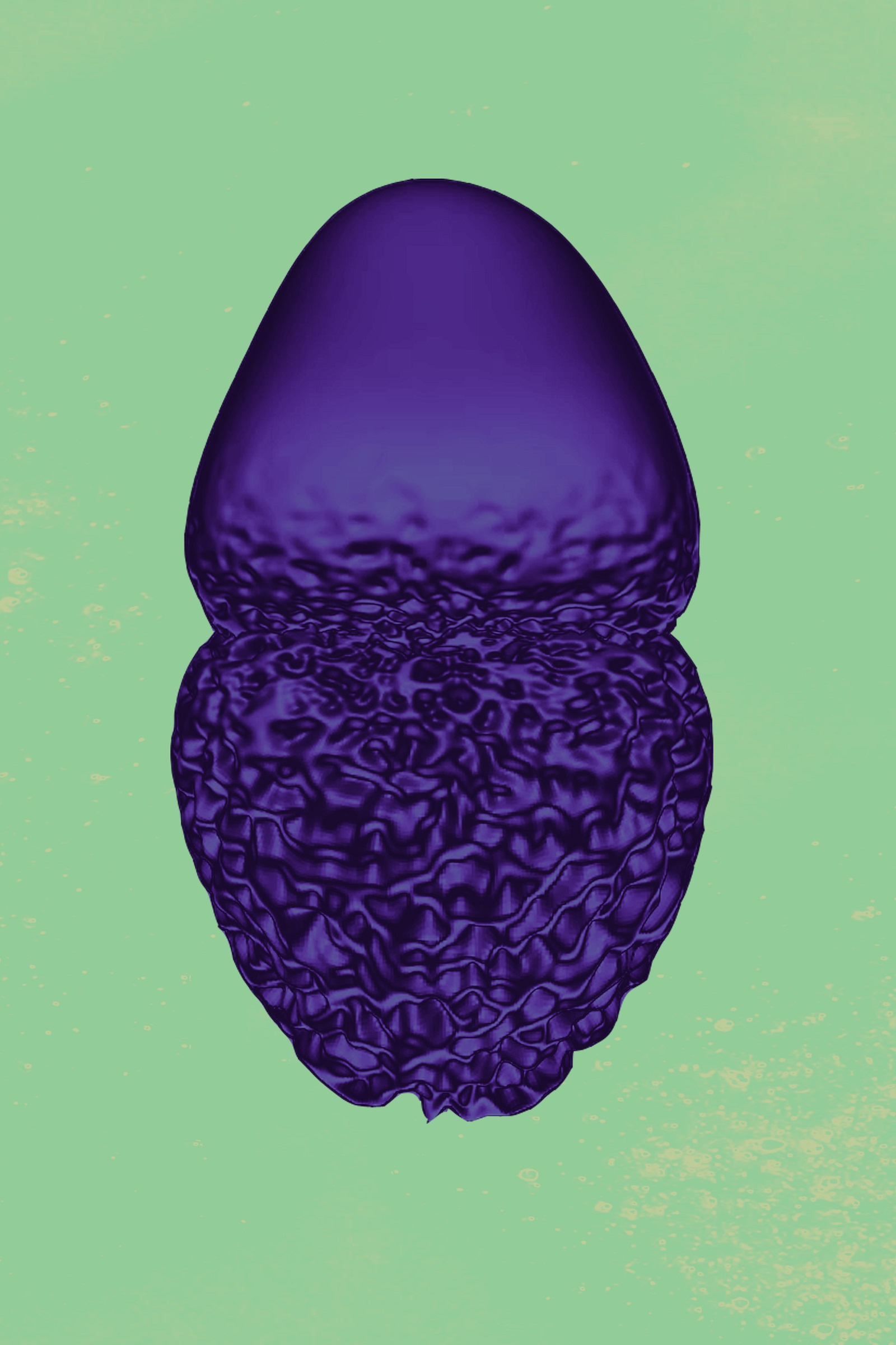 digital form on the blender software