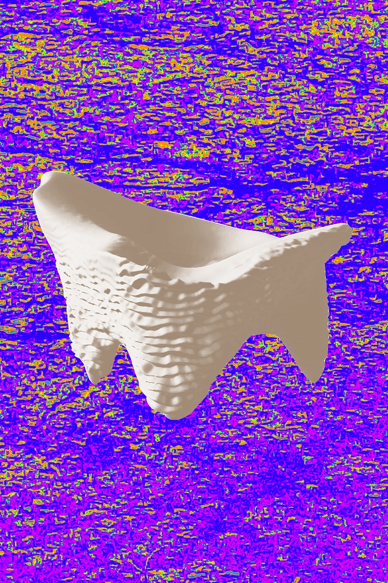 digital form on the blender software