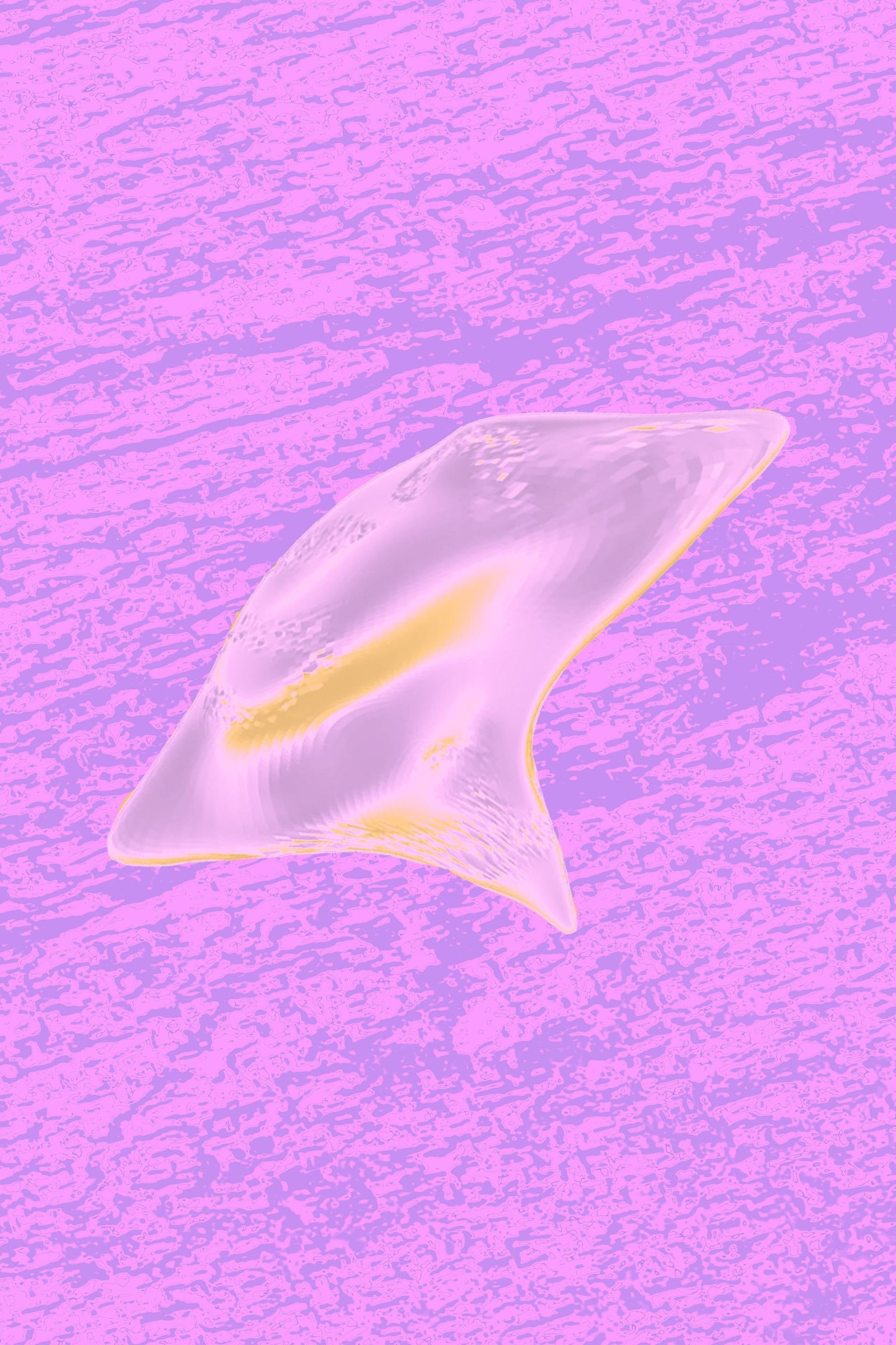 digital form on the blender software