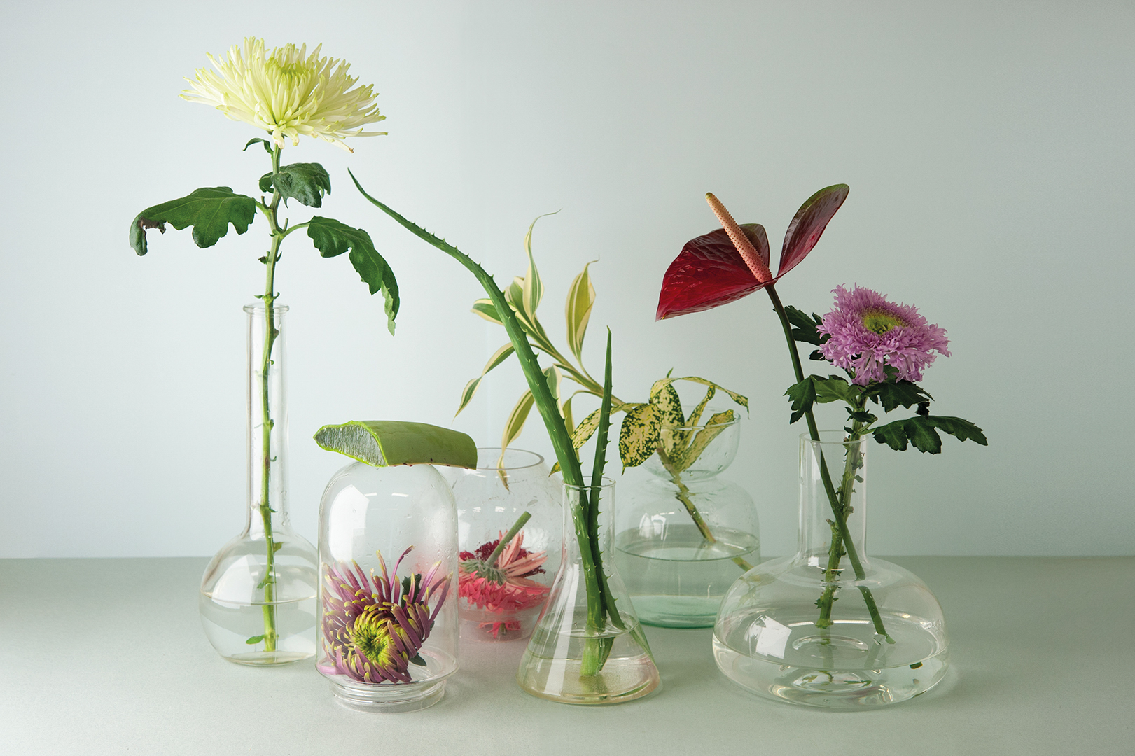 Imaginary Flower Therapy