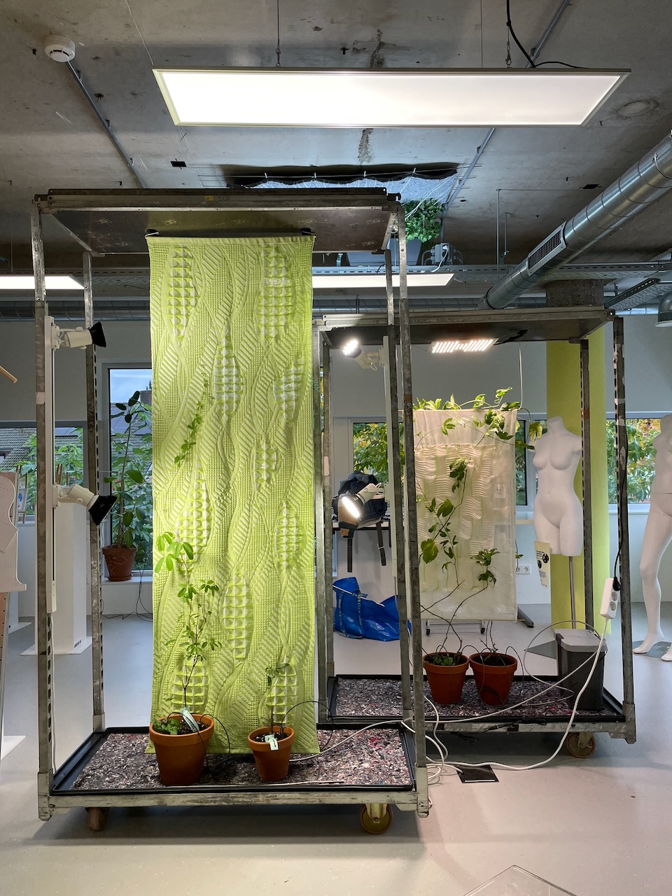 Greening Interior Spaces