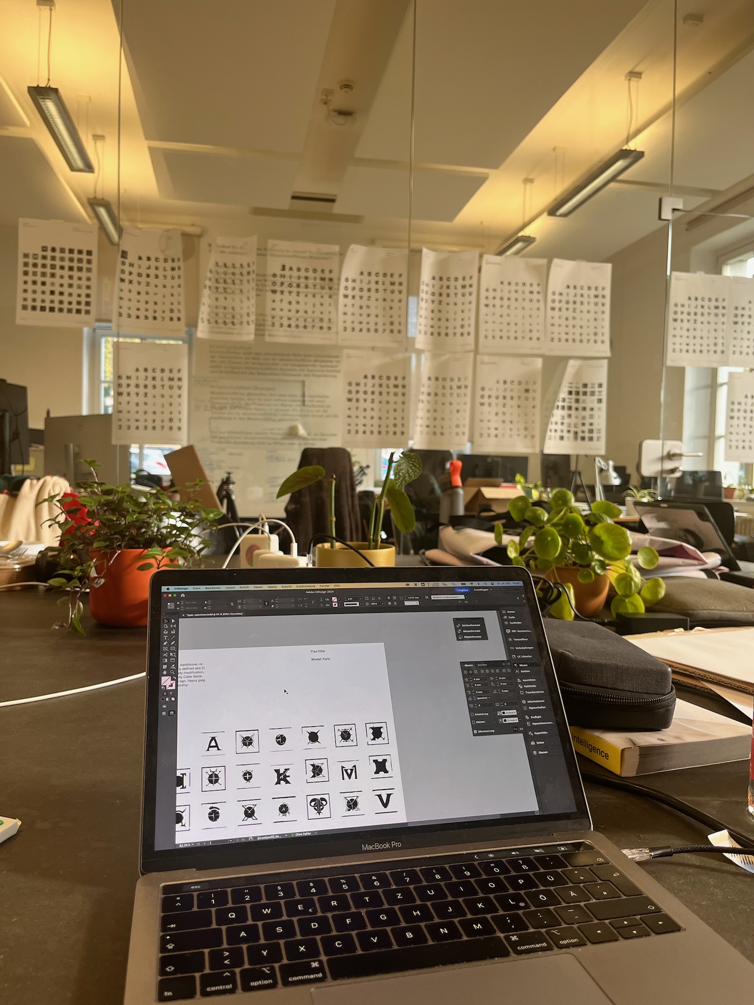 Working on the type specimens