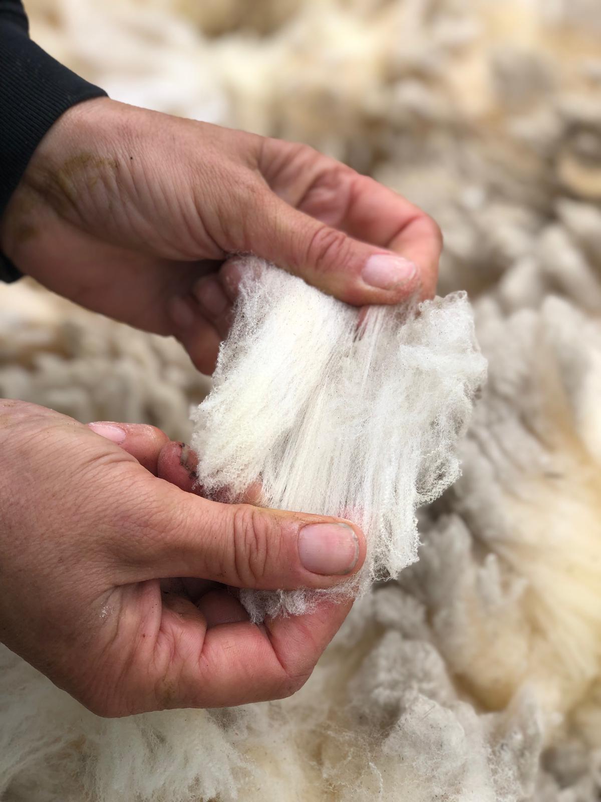 Raw wool