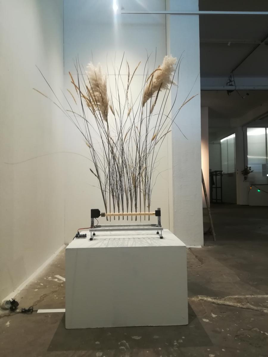 As Seen In Nature
