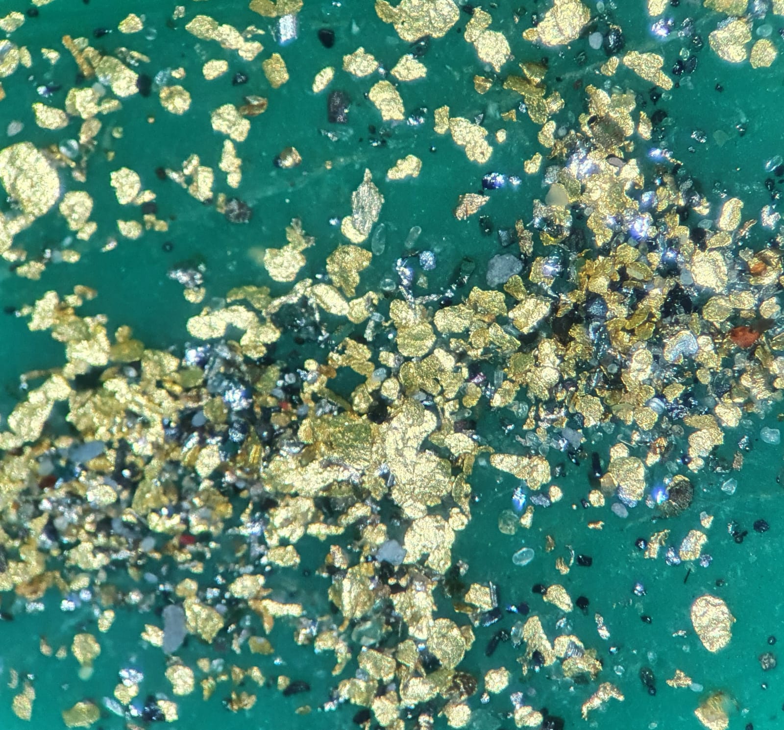 Gold enlarged from river Waal in the Netherlands