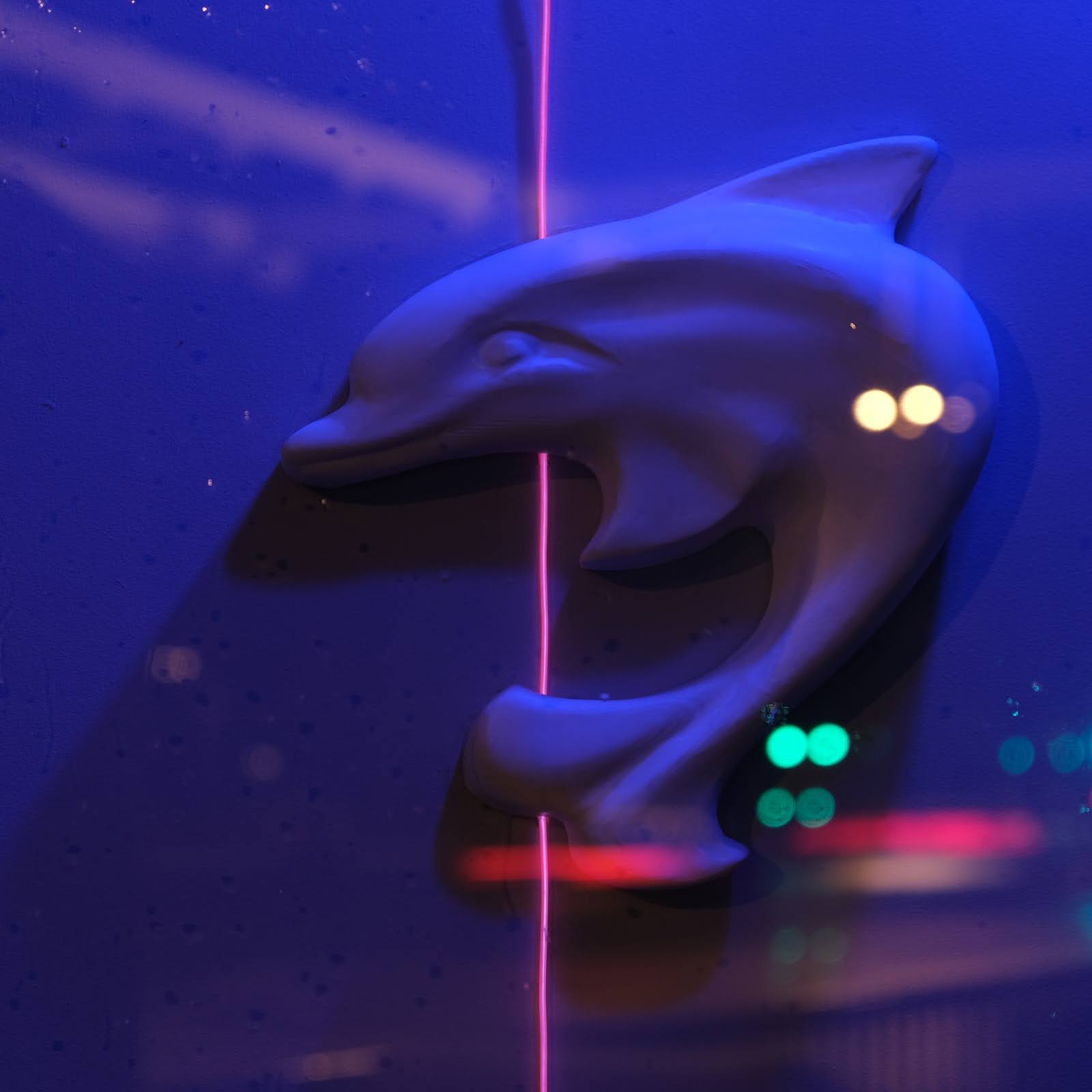 PoleDolphin