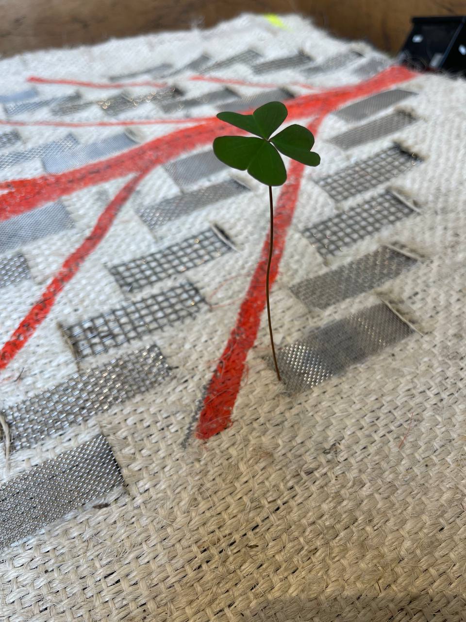 In use, the textile melts into the local ecosystem