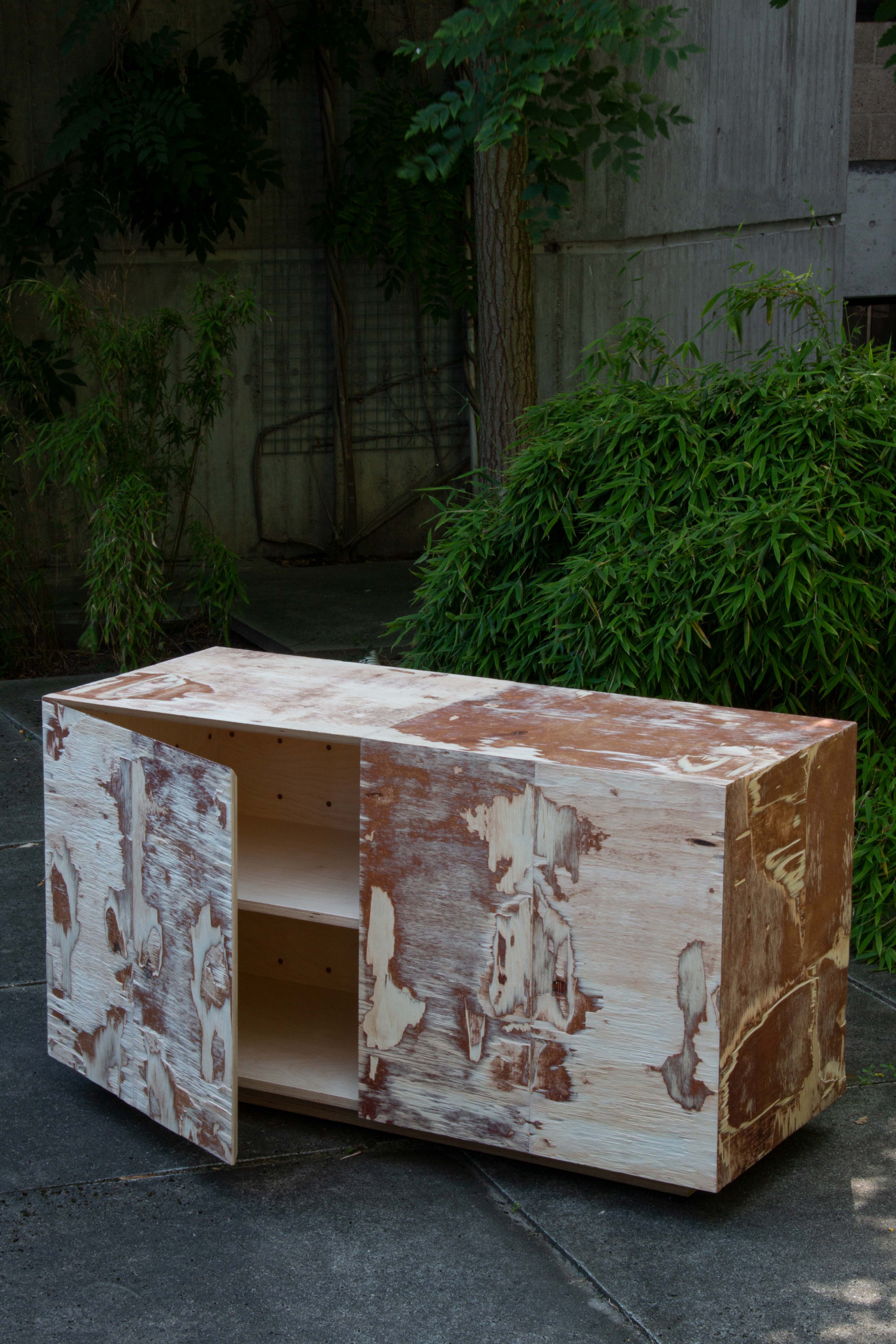 Splitwood Cabinet Open Door