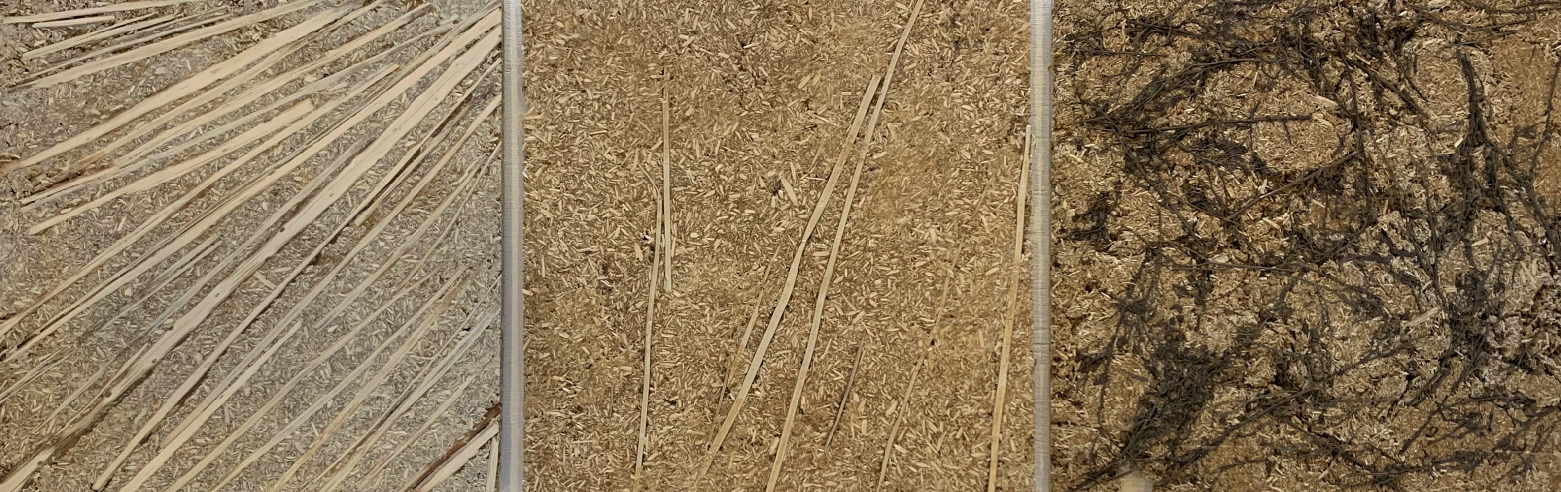Materials of the Canadian fleabane