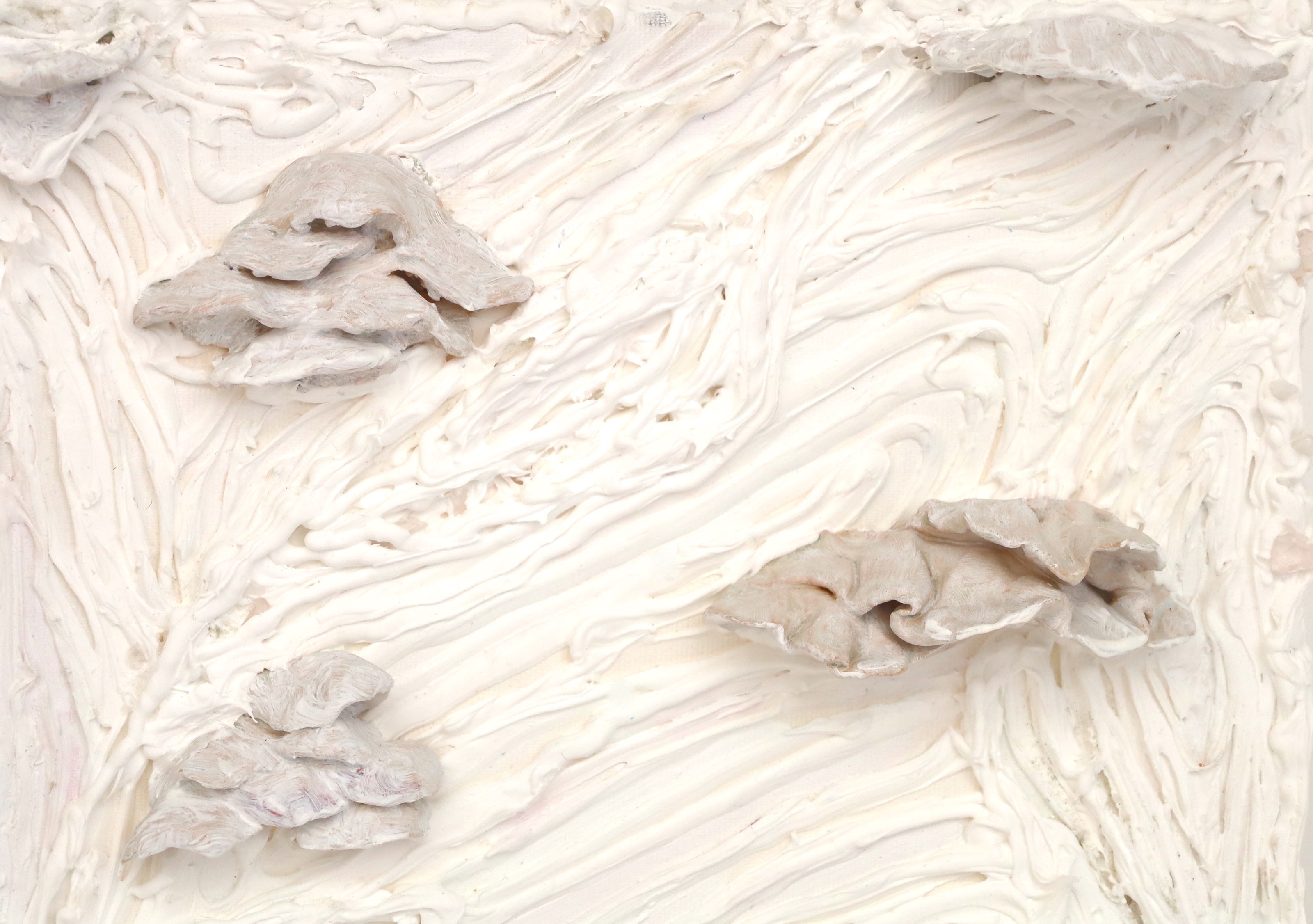Shiitake Interior