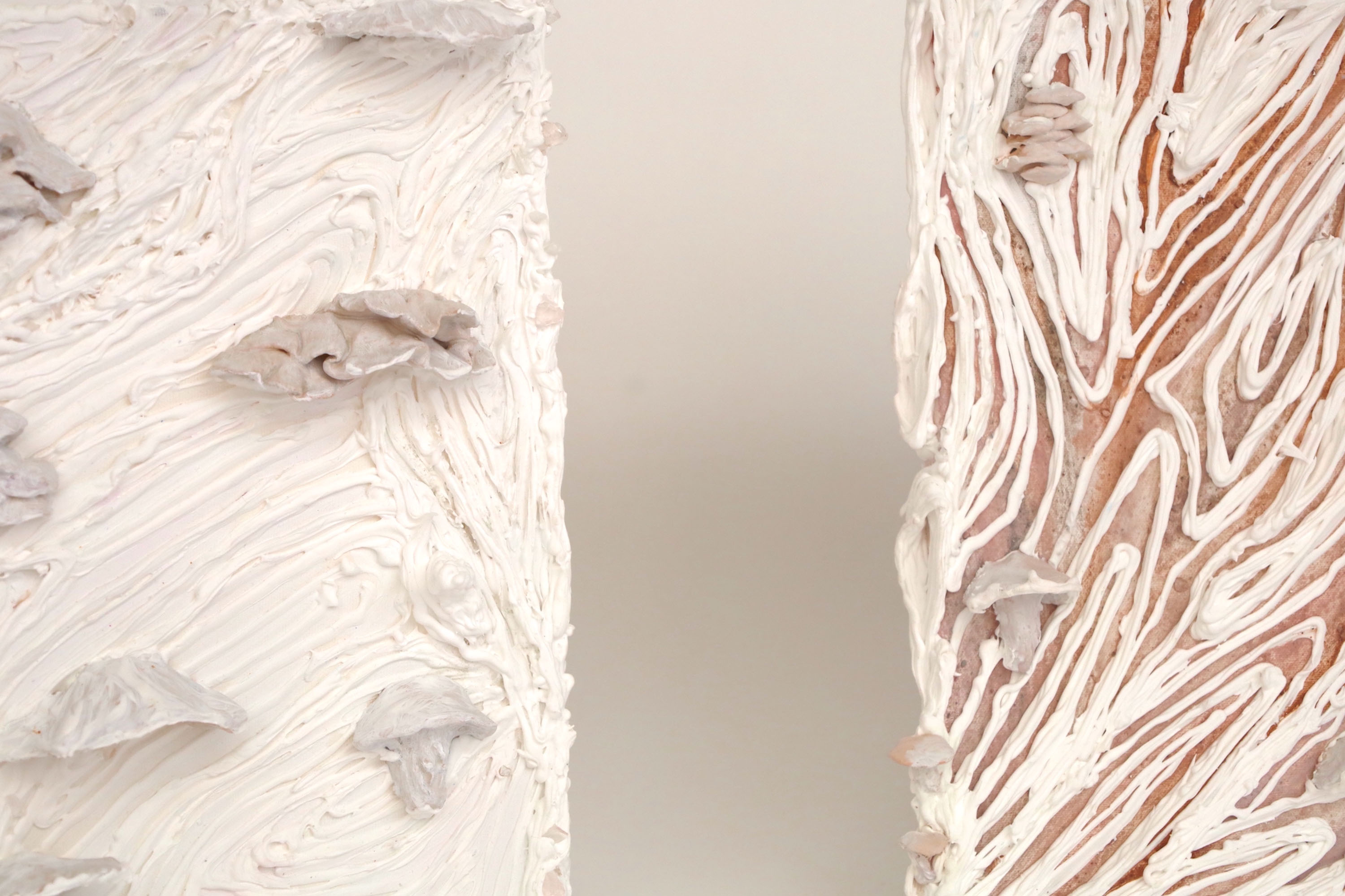 Birch