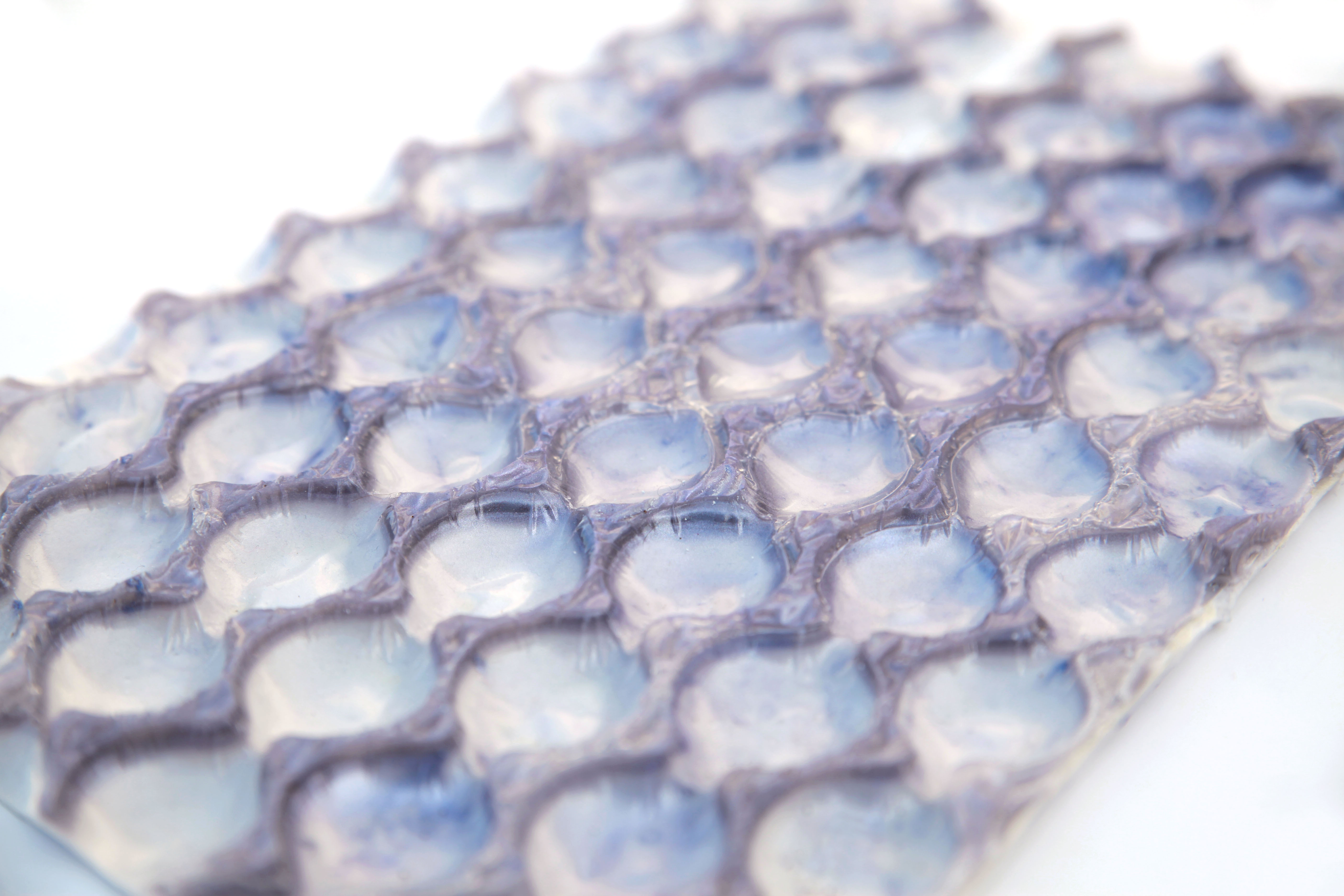Structural research for bio packagings