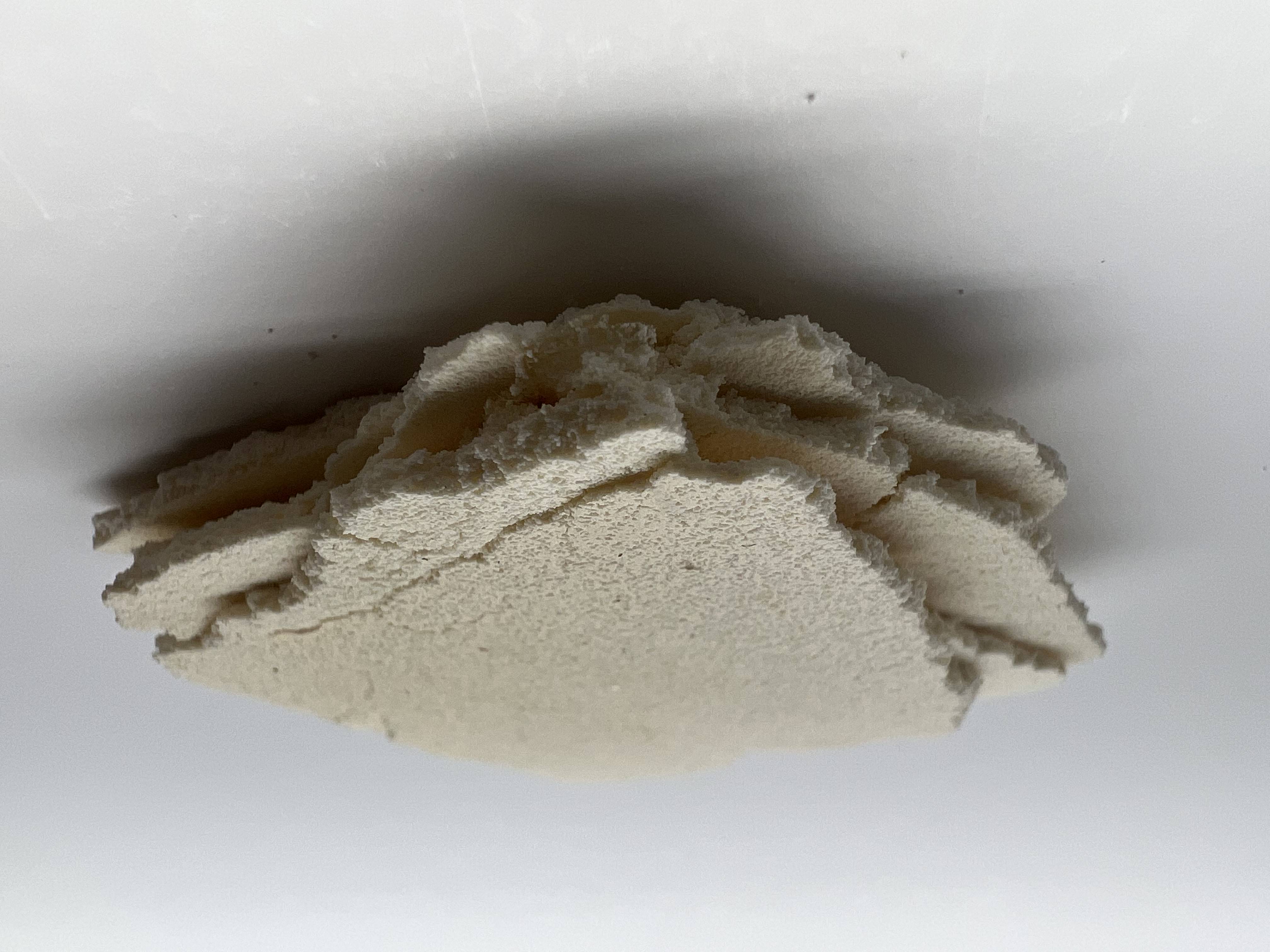 Nacre Composite. Early prototype