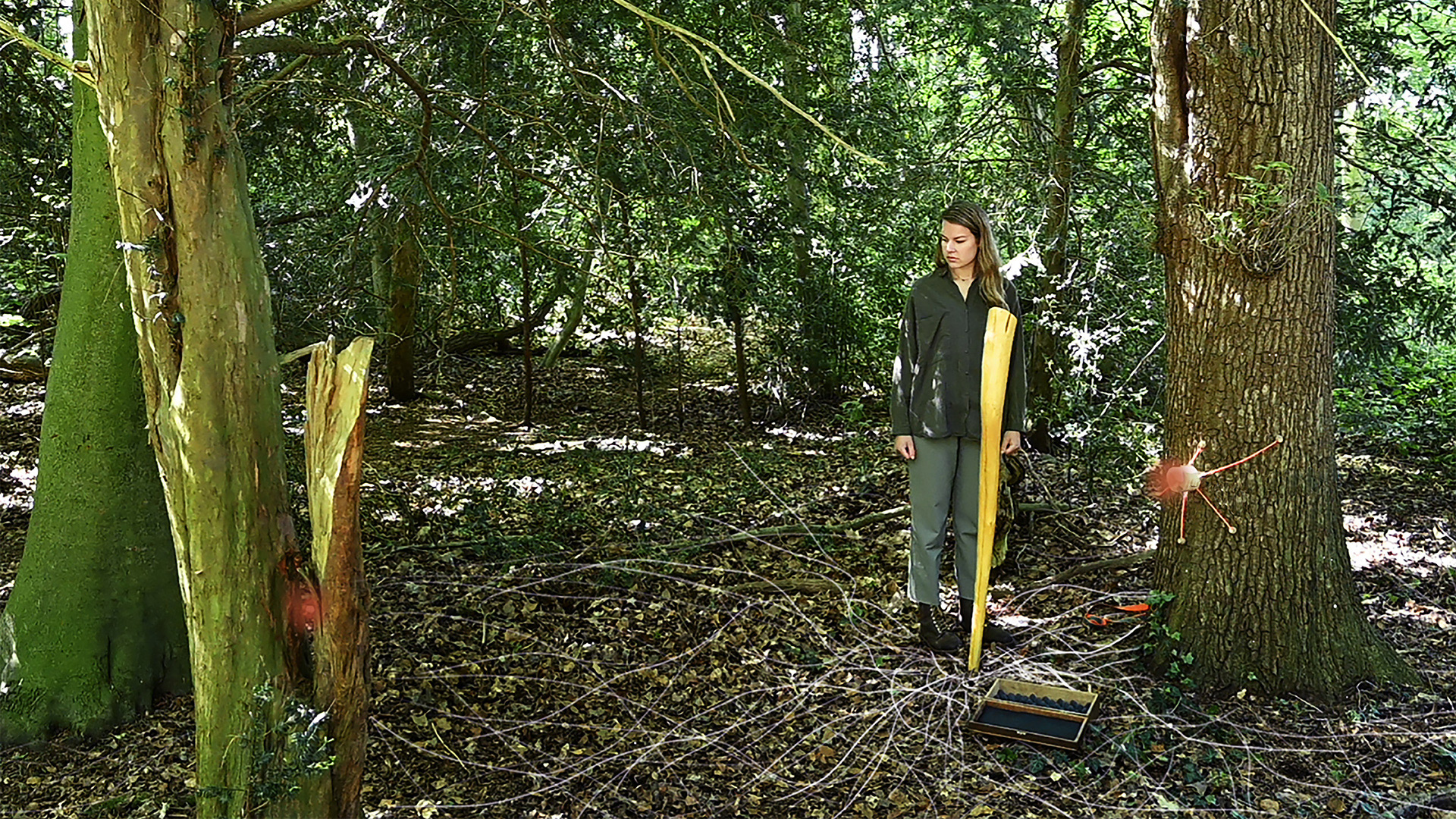 In the forest - Exploring the language of trees