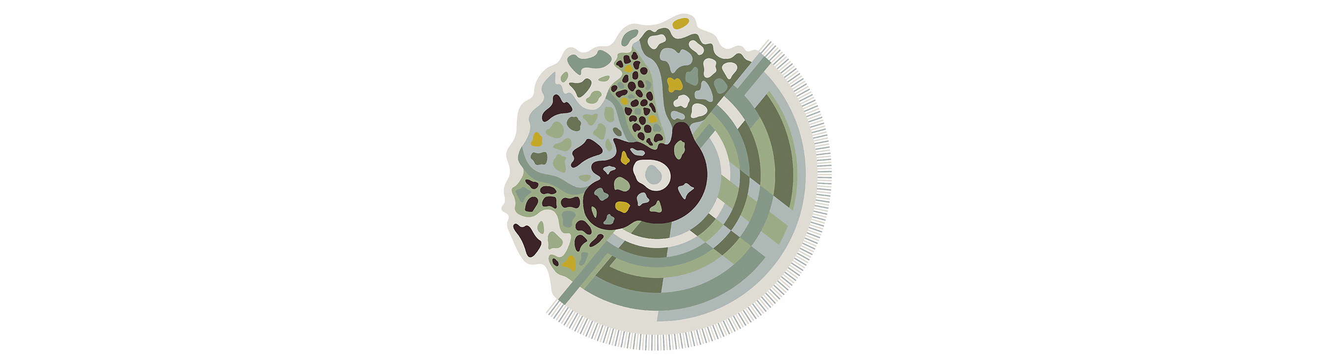 Chameleon &amp; Lichen