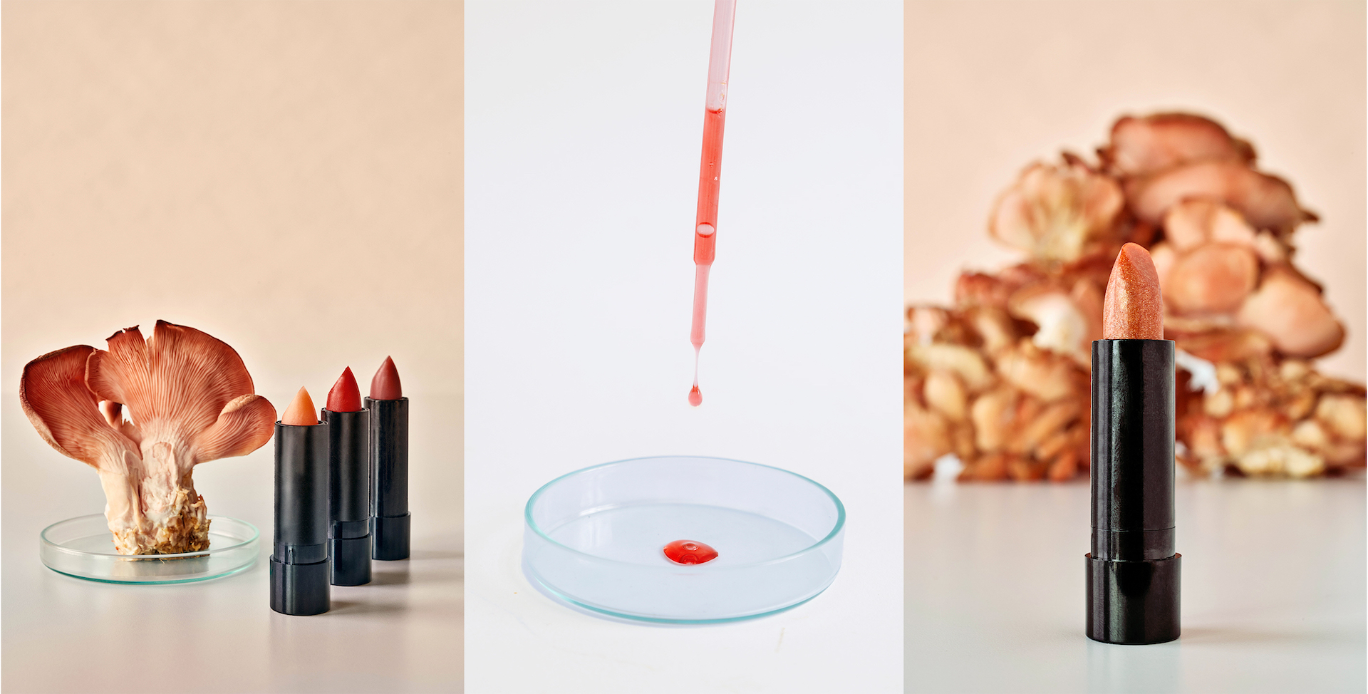 Alchemical Mycology (lipsticks)