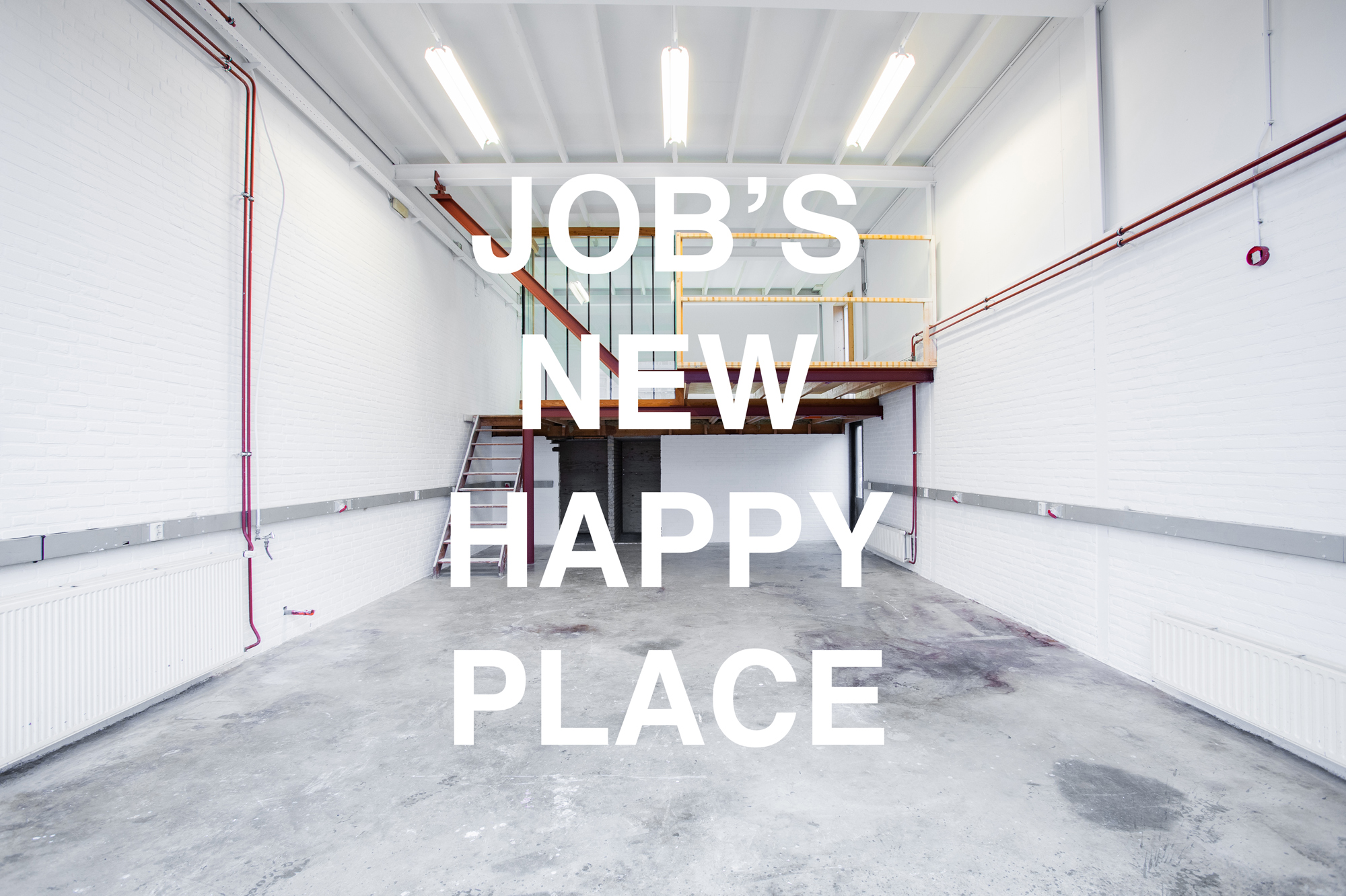 JOB'S NEW HAPPY PLACE