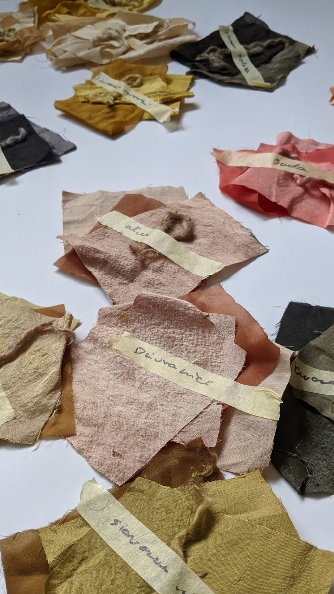 Sustainable colours and fashion laboratory.