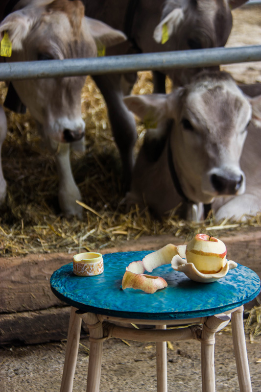 Cows and the products made with casein bioplastic