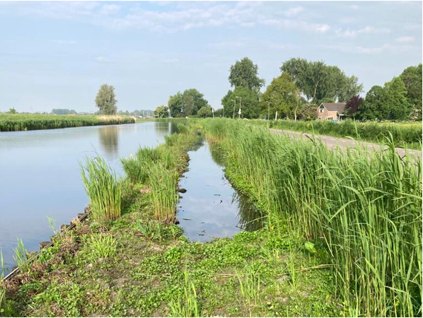 Ontwikkeling na 6 maanden, juni 2023