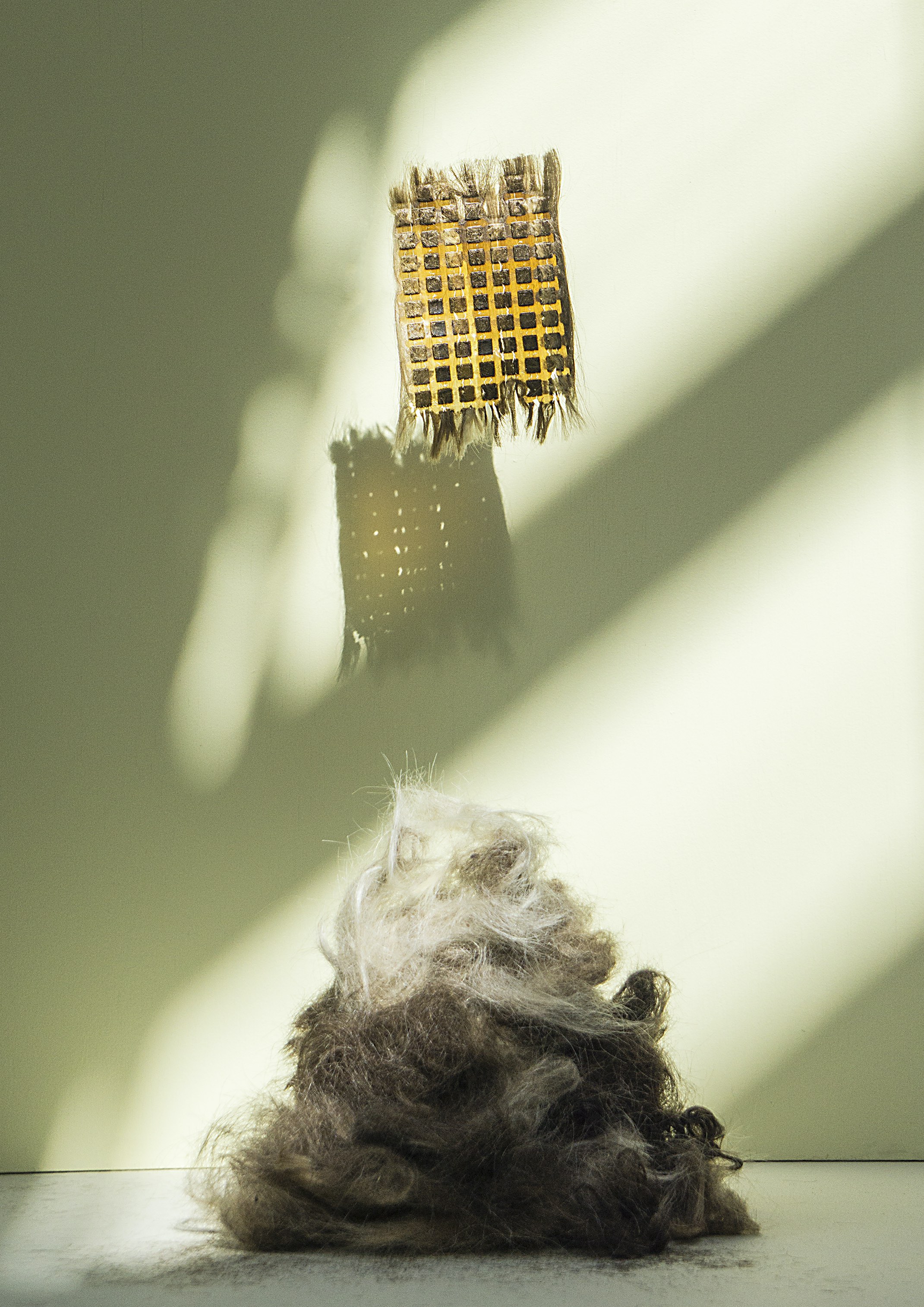 transforming hair waste into a new material