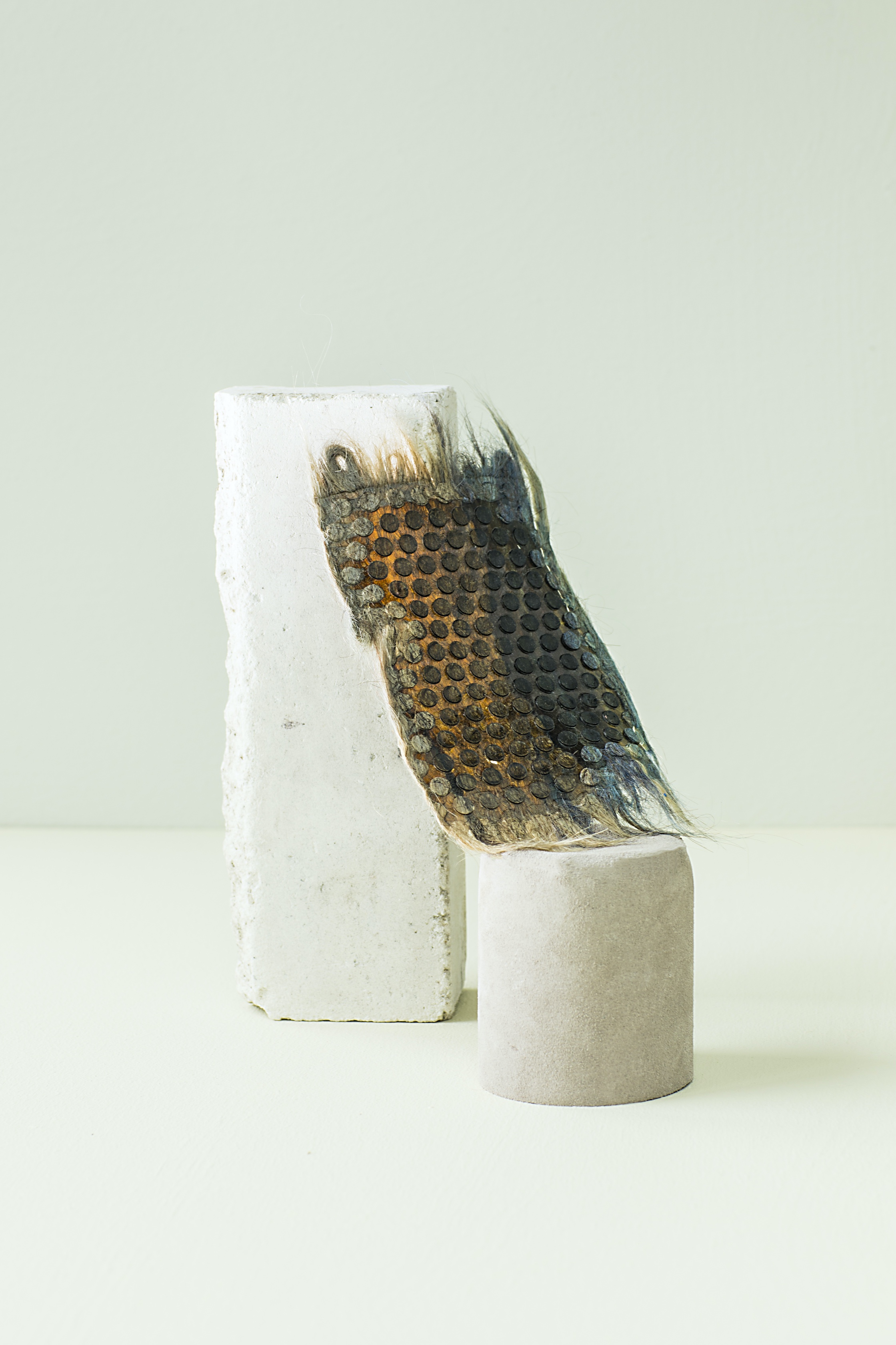 pure hair sample 3D Surface